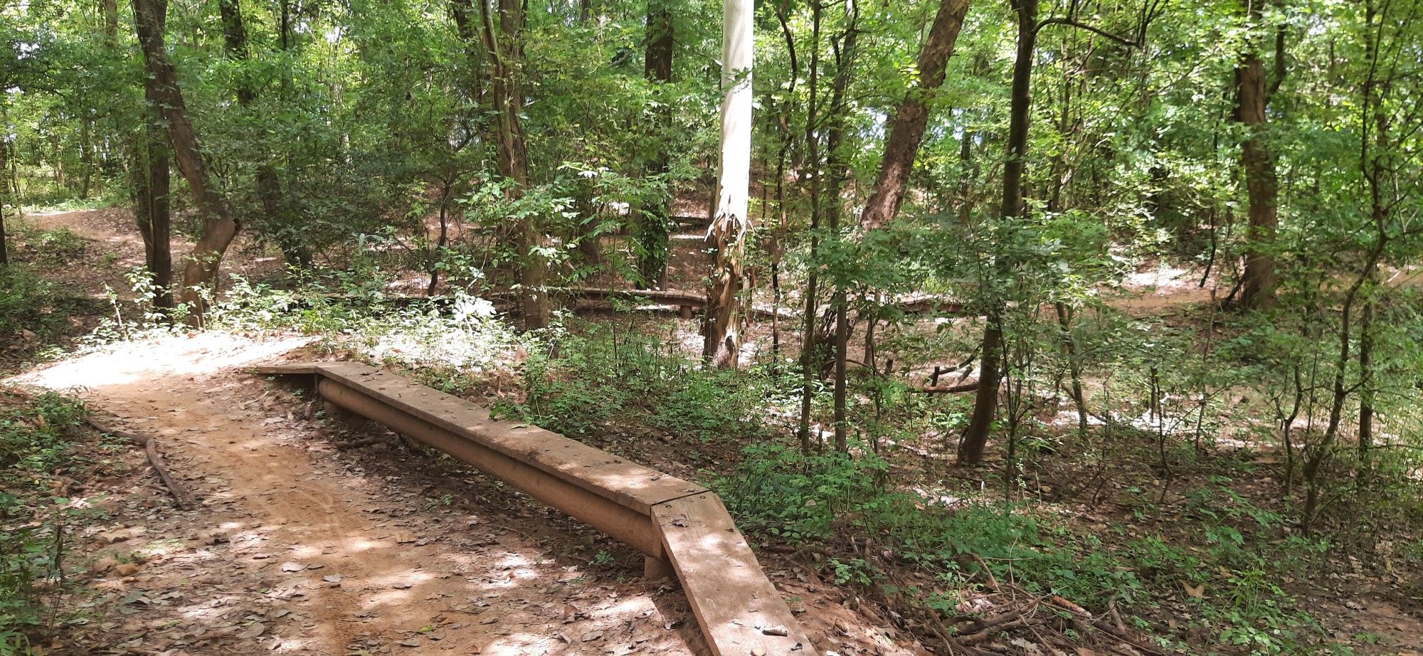 good small amount of ramps