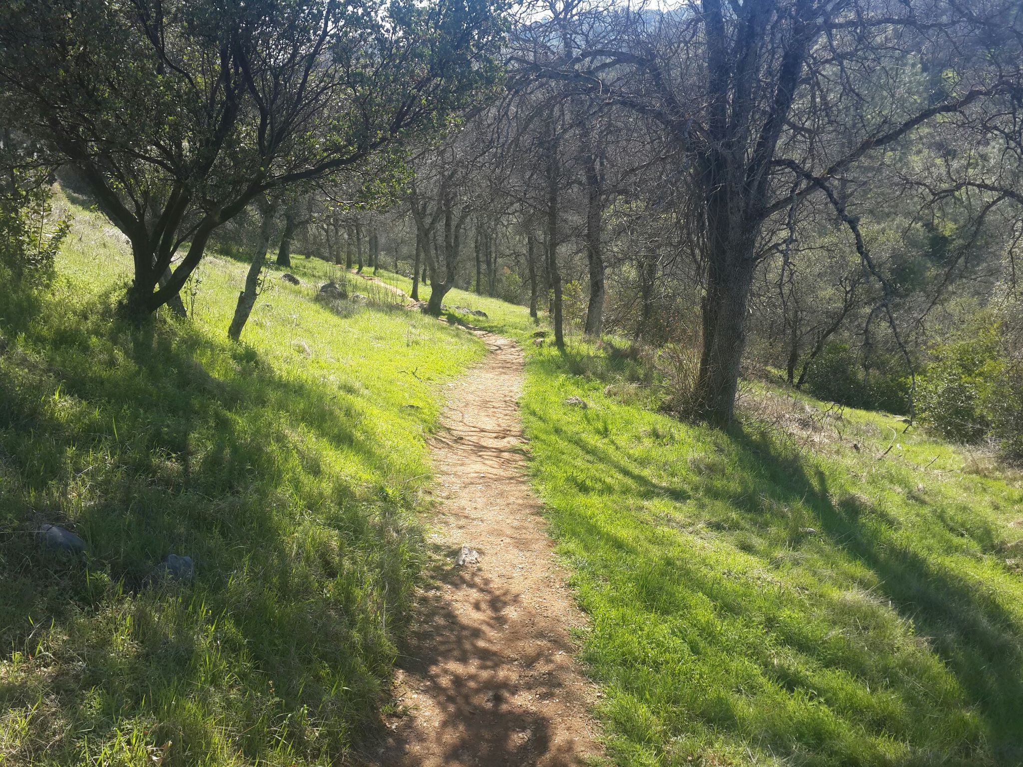 Natural Bridges trail