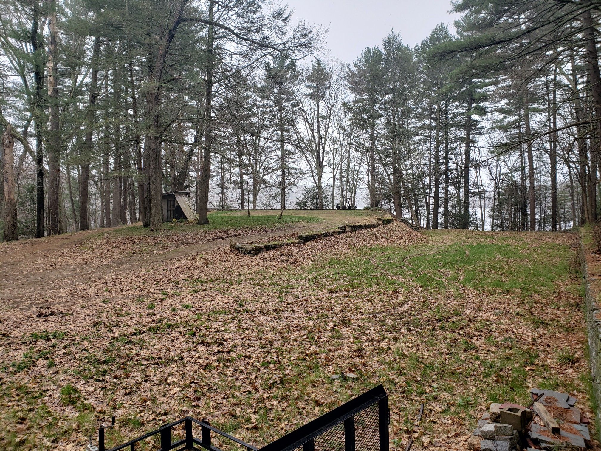 A forest clearing with fallen leaves leads to distant trees and water. - Mount Misery – Wright Woods loop from Walden Pond