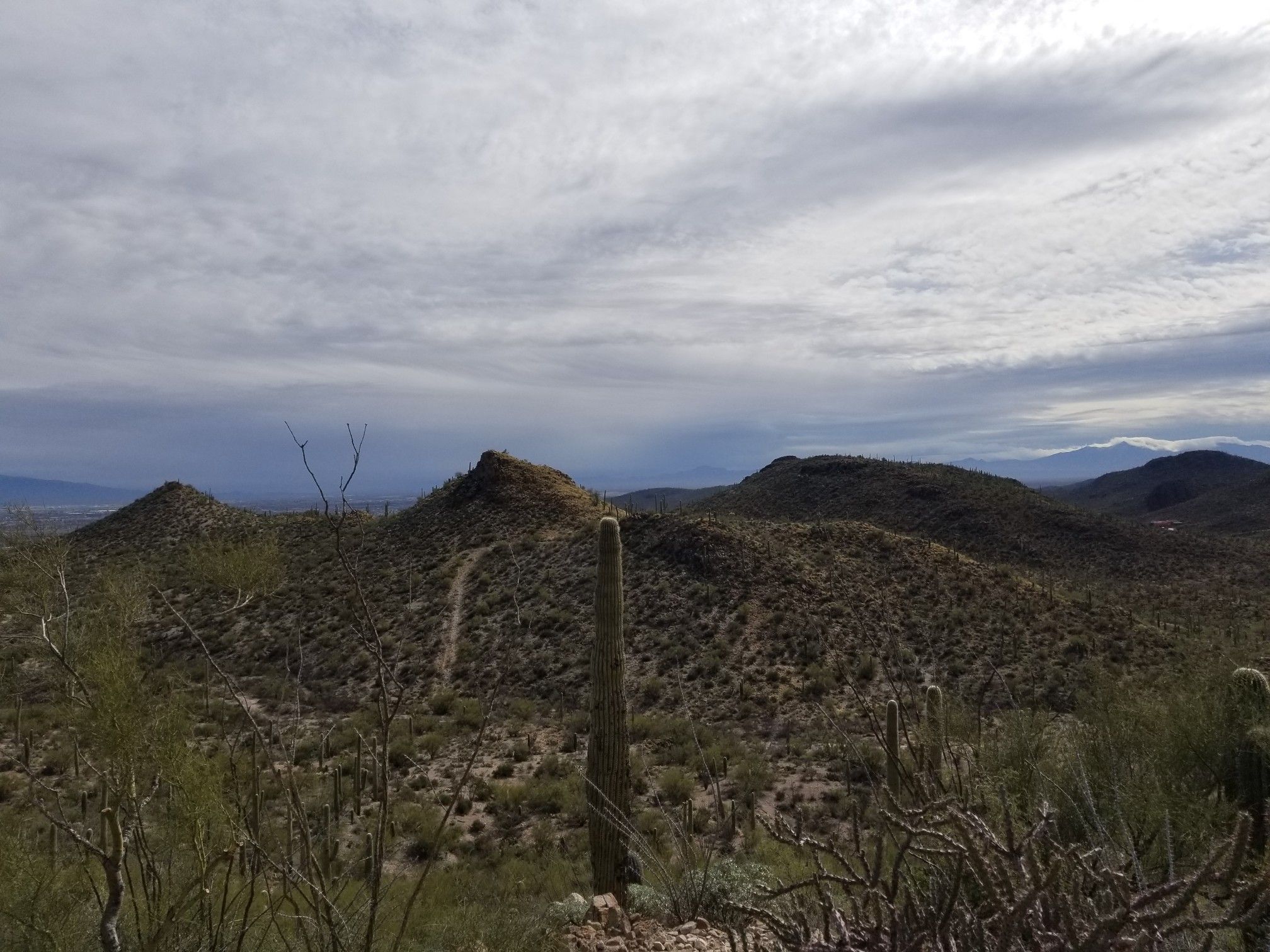 Vast desert landscape with hills, saguaro cacti, and distant mountains under a cloudy sky. - 36th Street, Starr Pass and Rock Wren Loop