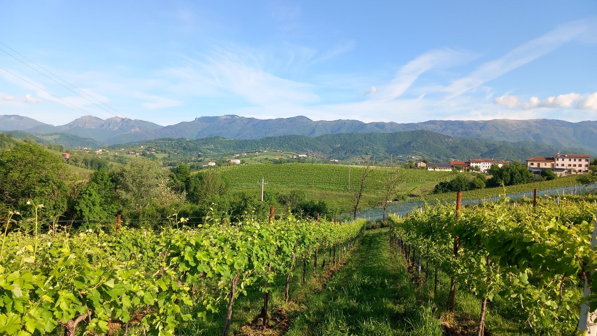 Things to Do around Godega Di Sant'Urbano
