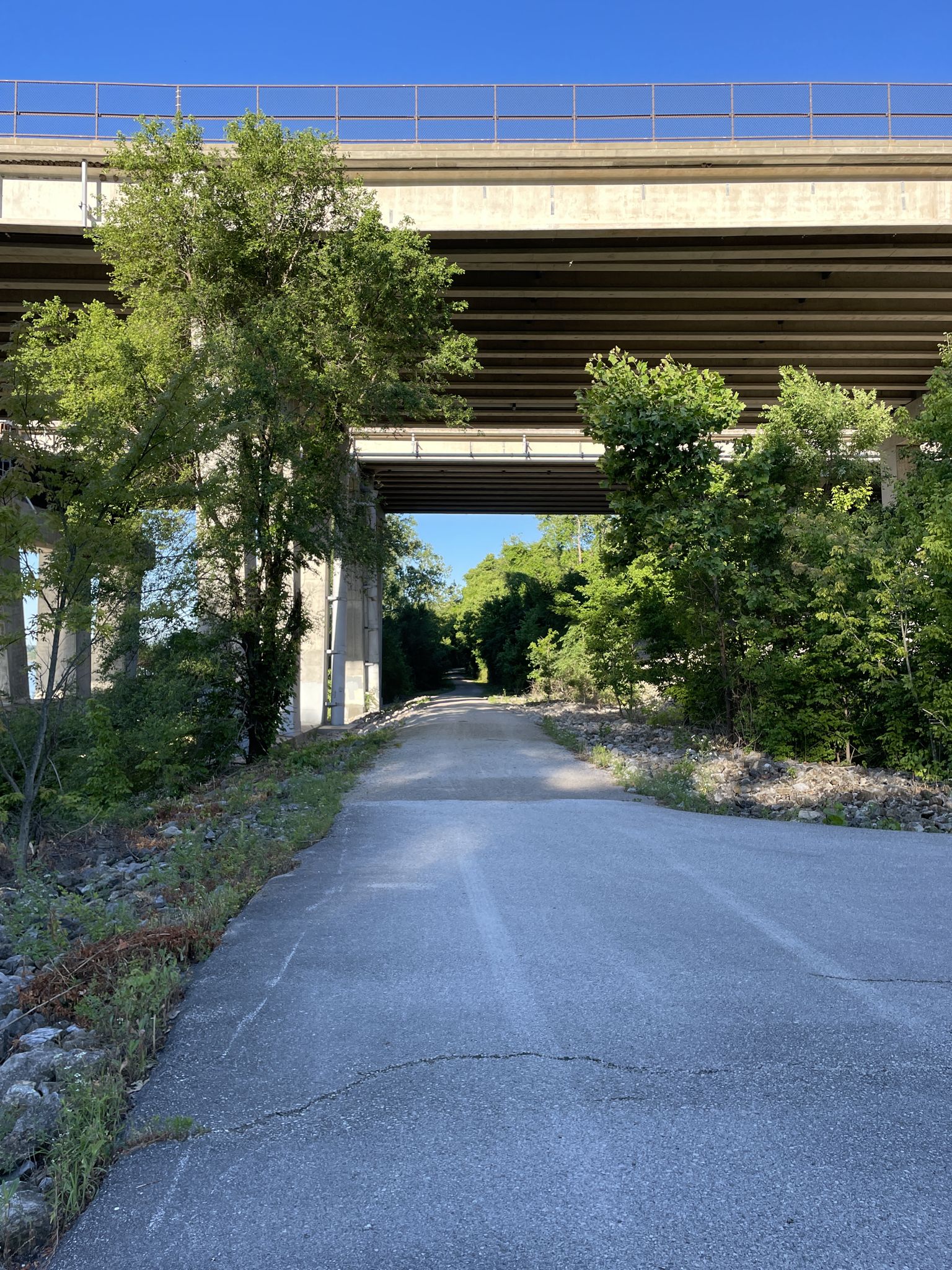 A paved path leads under a large concrete bridge on a sunny day. - Katy Trail West of St. Charles loop from Harvester
