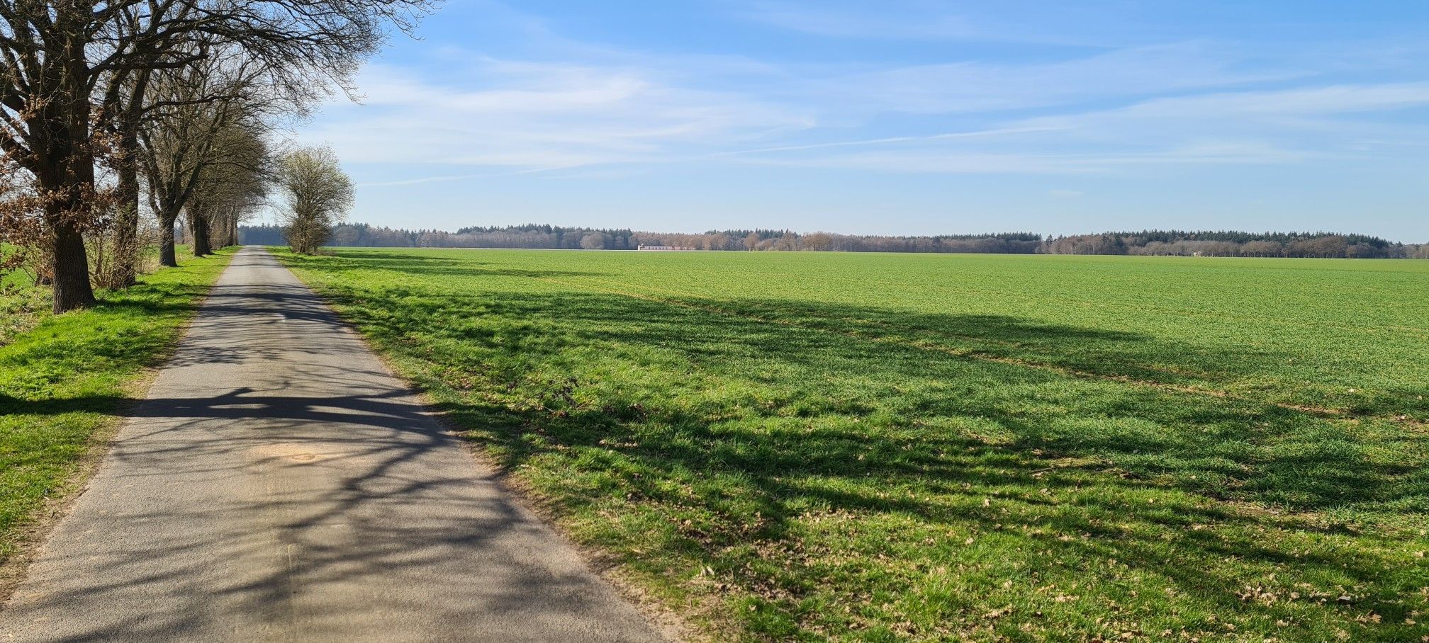 Noch mehr Weite als im schönen Emsland 👀