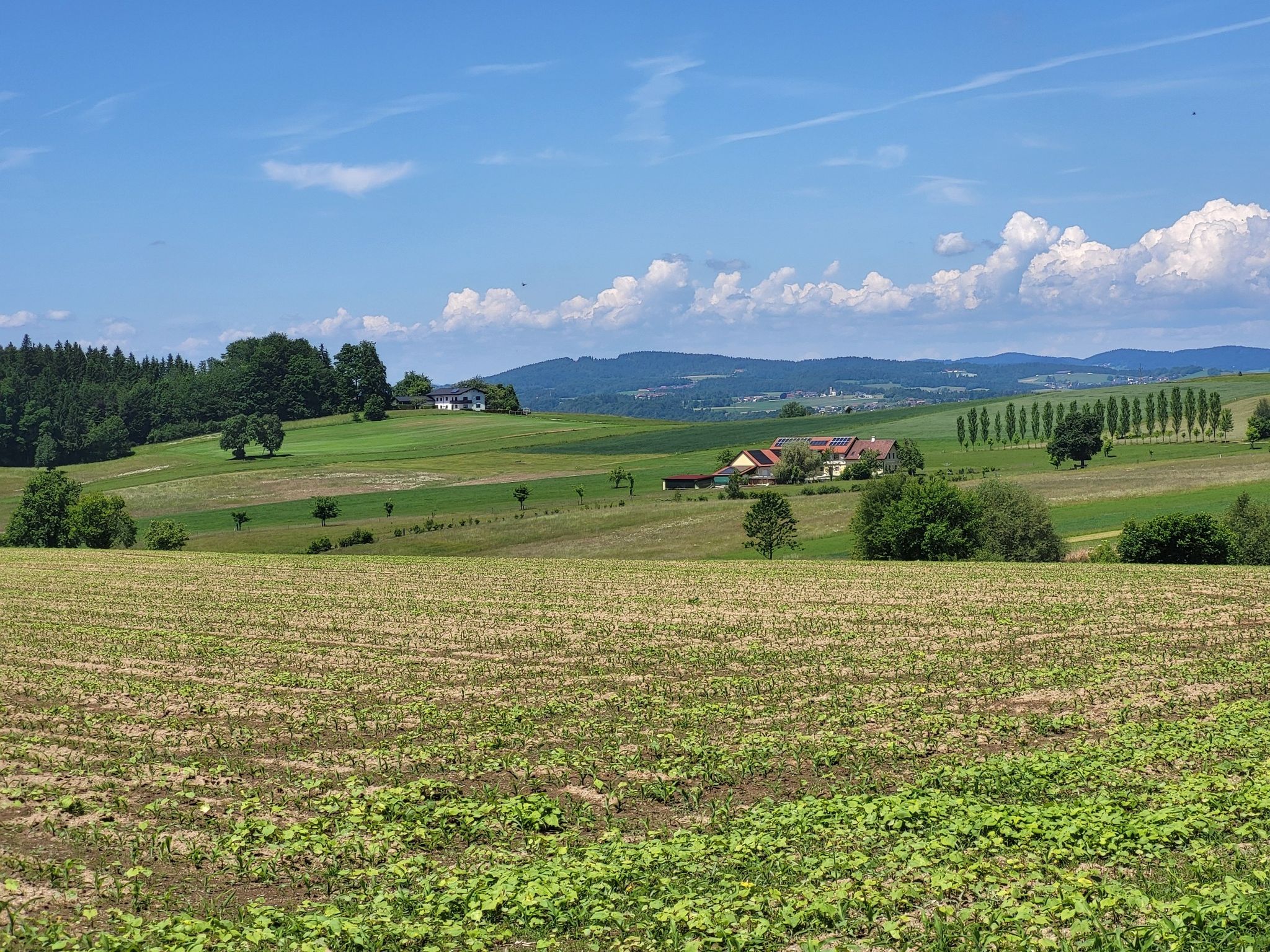 Wetblick bis Hofkirchen im Mühlkreis.