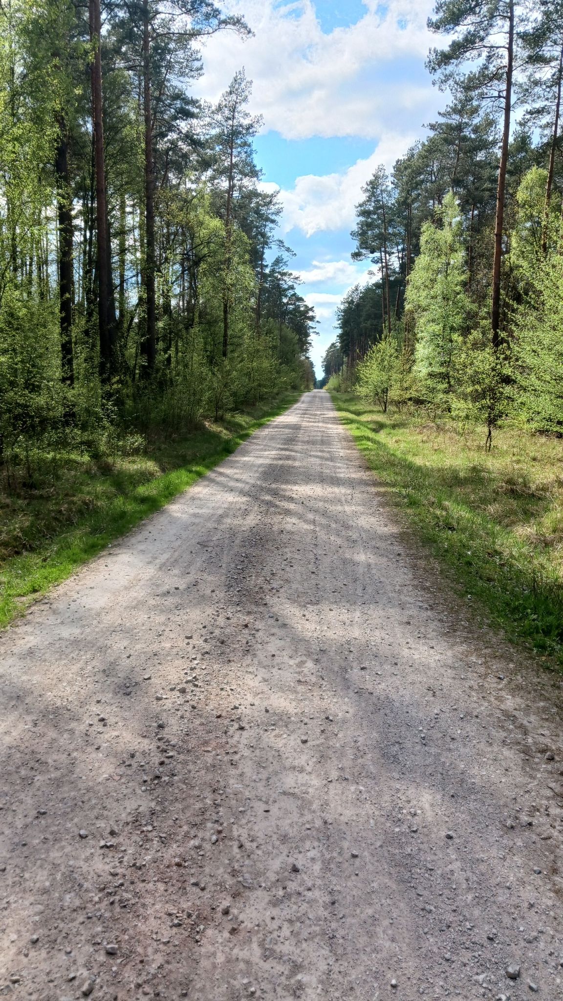 Szeuterek