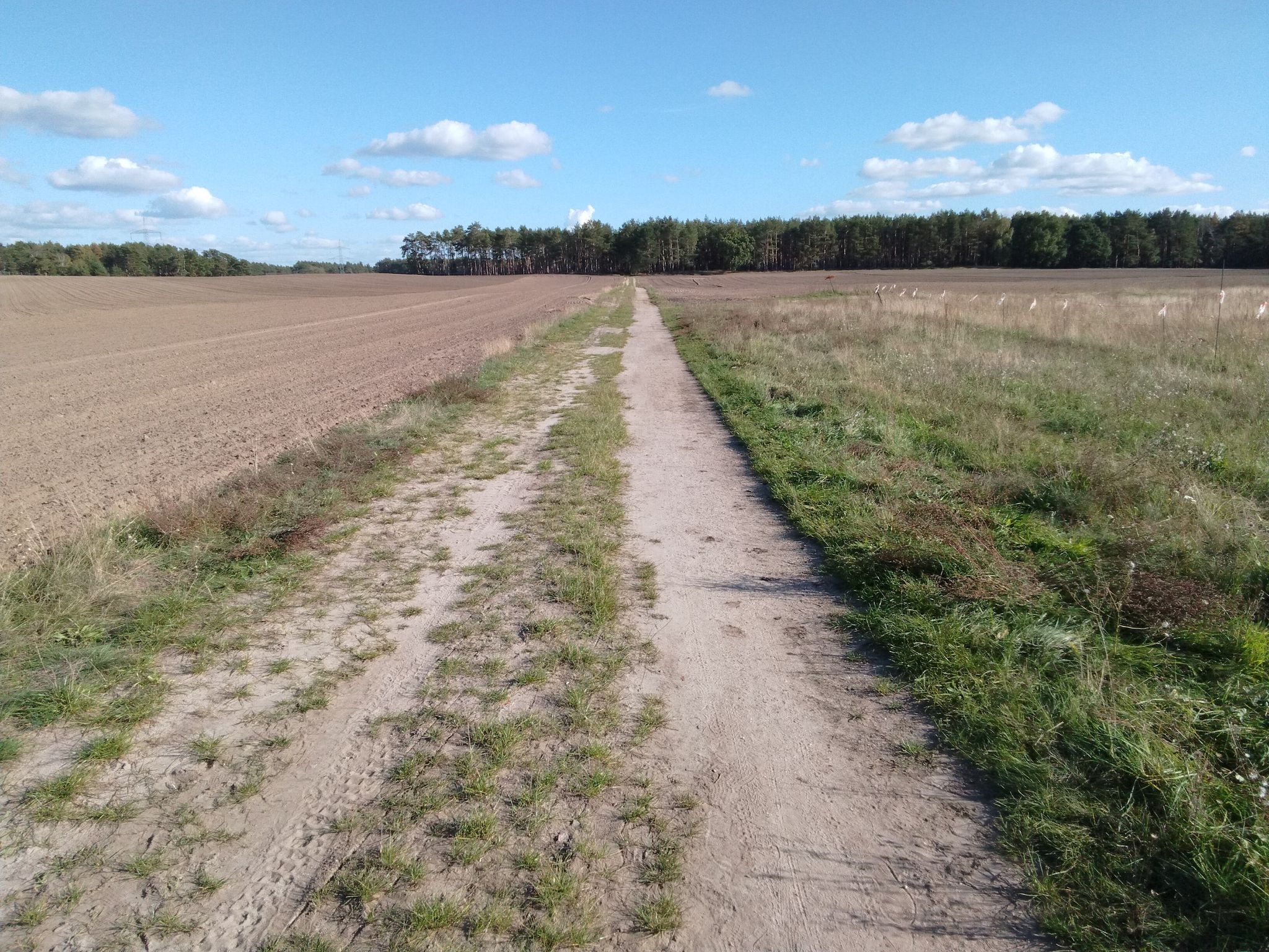 es geht weiter auf sandigem Feldweg
