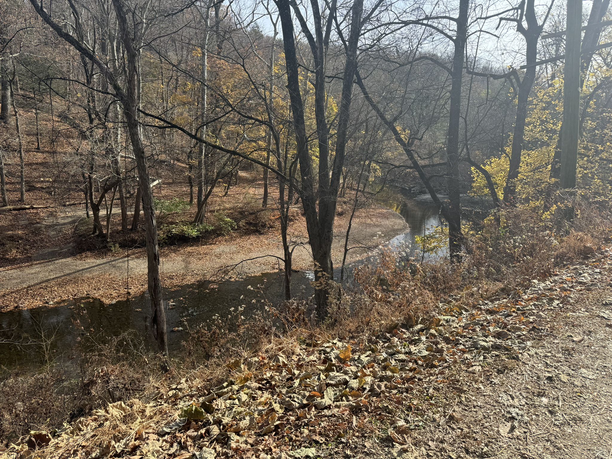 Autumn path beside a stream, surrounded by trees with fall foliage. - Lorimer Park loop from Dairy Queen