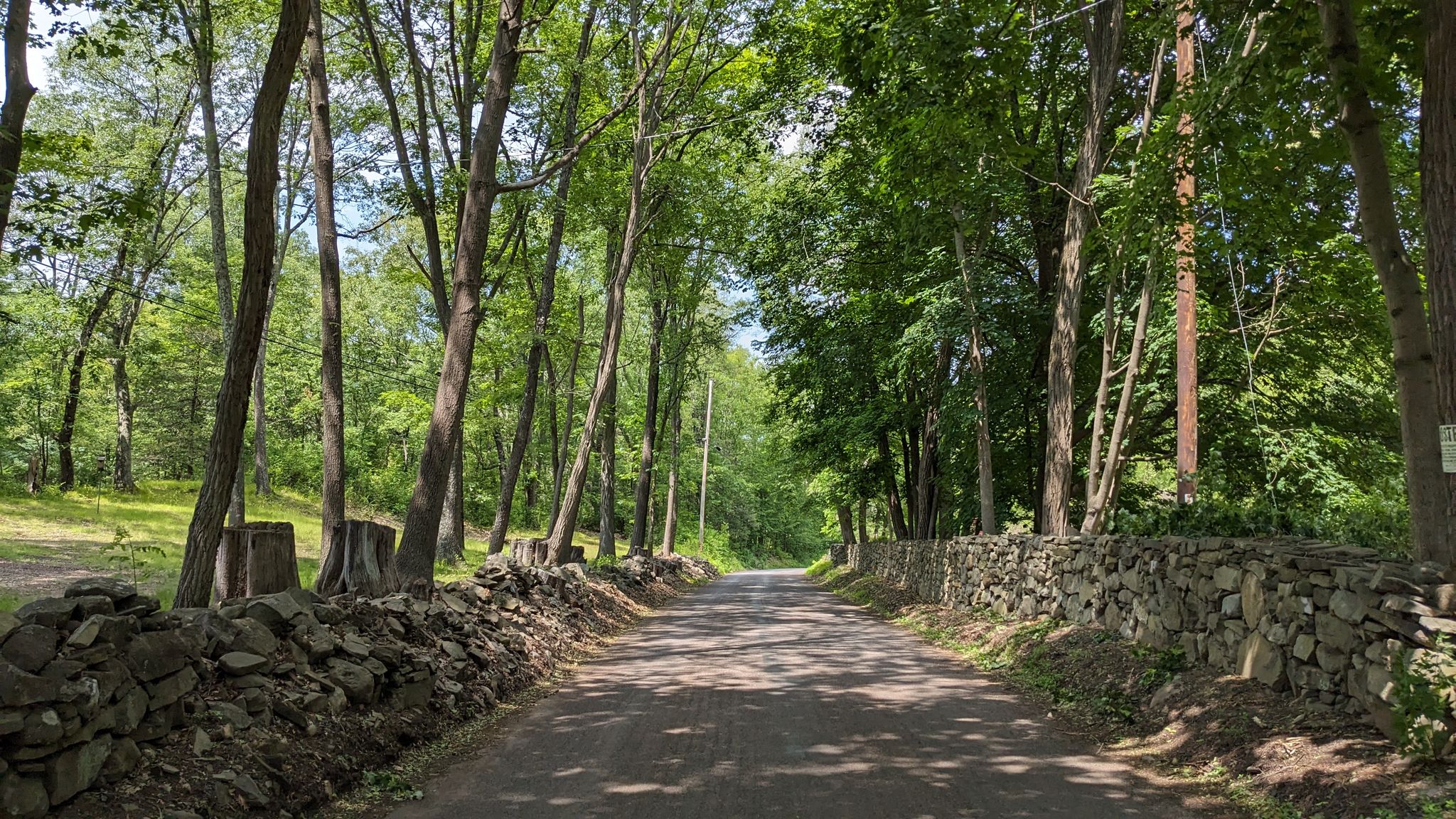 Paved road through a sunlit forest, flanked by old stone walls. - 1889 Rail Bed Trail loop from Highland