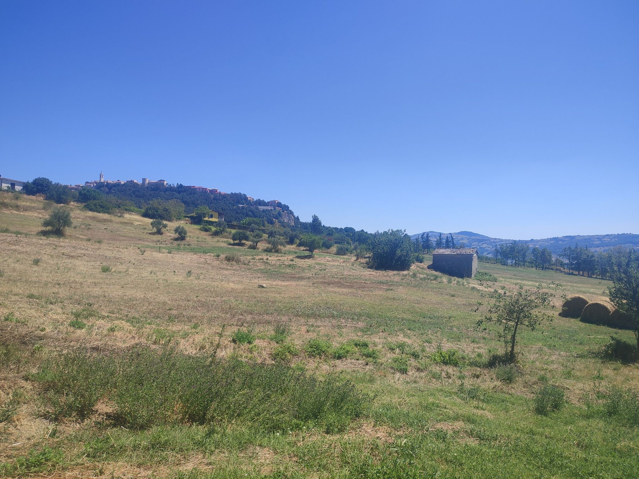 Ferrazzano