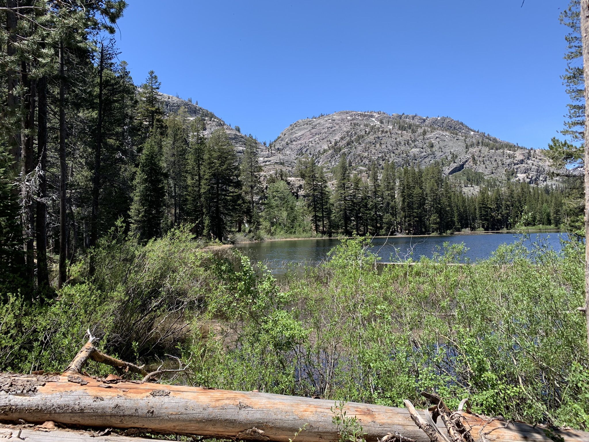 Lake seen through green bushes, backed by pine forest and rocky mountains. - River Trail