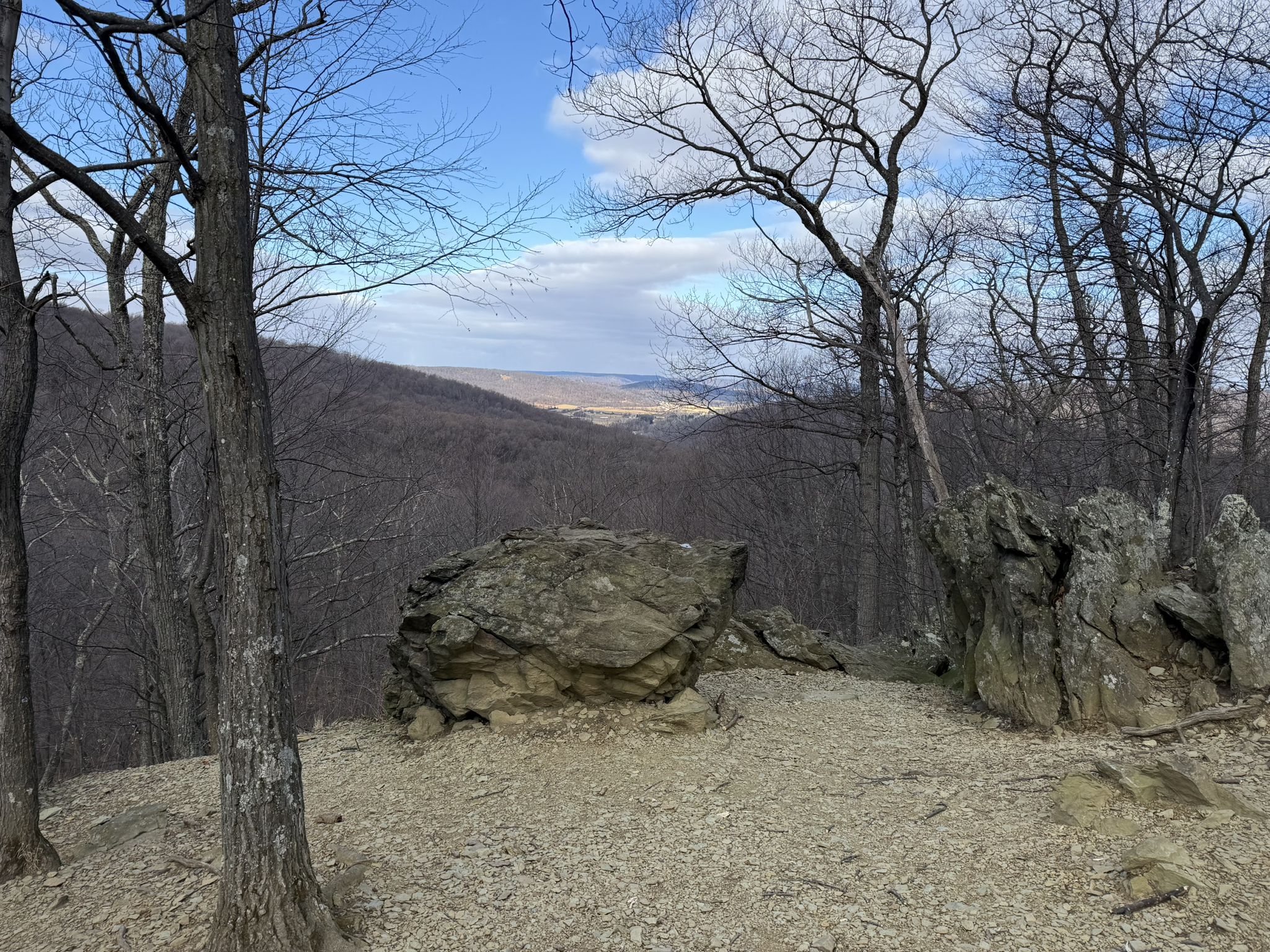 Rocky overlook with bare trees, distant valley, and cloudy sky. - 8 Mile Loop Trail