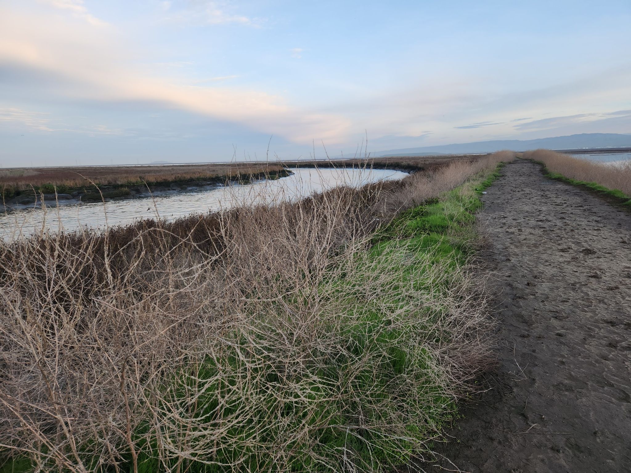 A dirt path next to marshy water and dry grass under a cloudy sky. - Alviso Slough Loop Trail