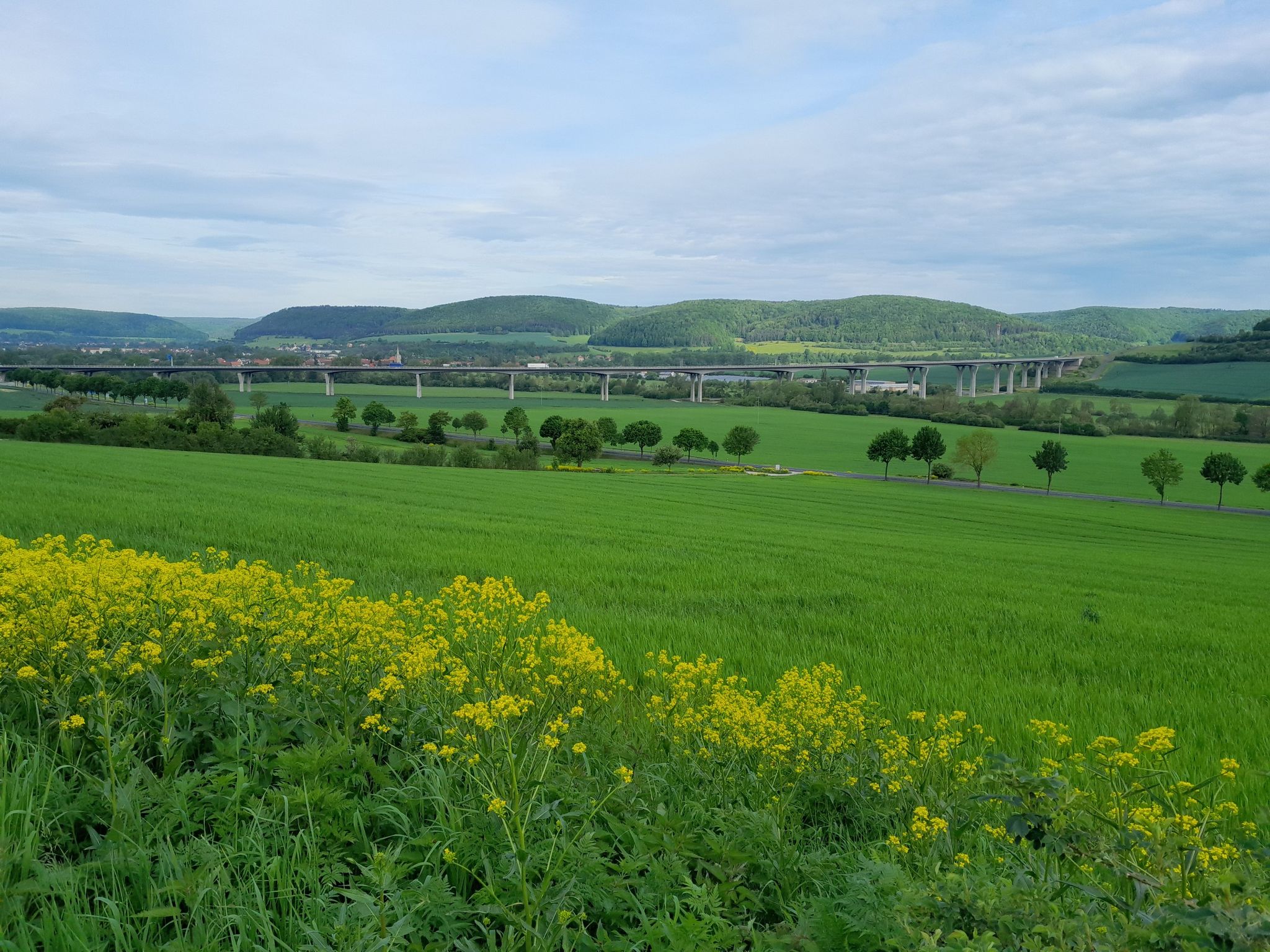 Werratal aus Richtung Feldweg bei Belrieth