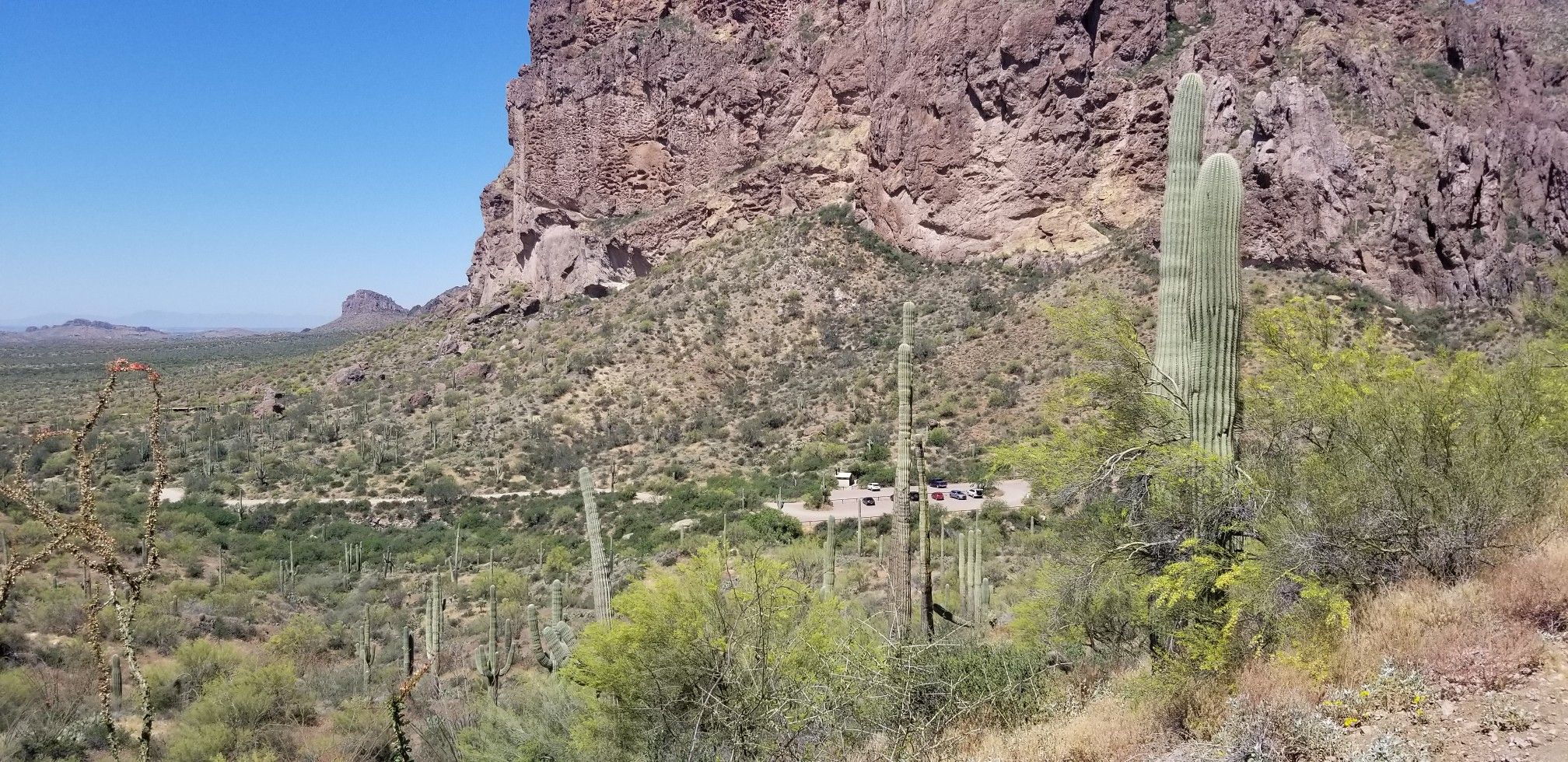 Massive rocky mountain, saguaro cacti, and distant buildings in a desert valley. - Miners Summit loop via Bluff Spring Canyon Trail