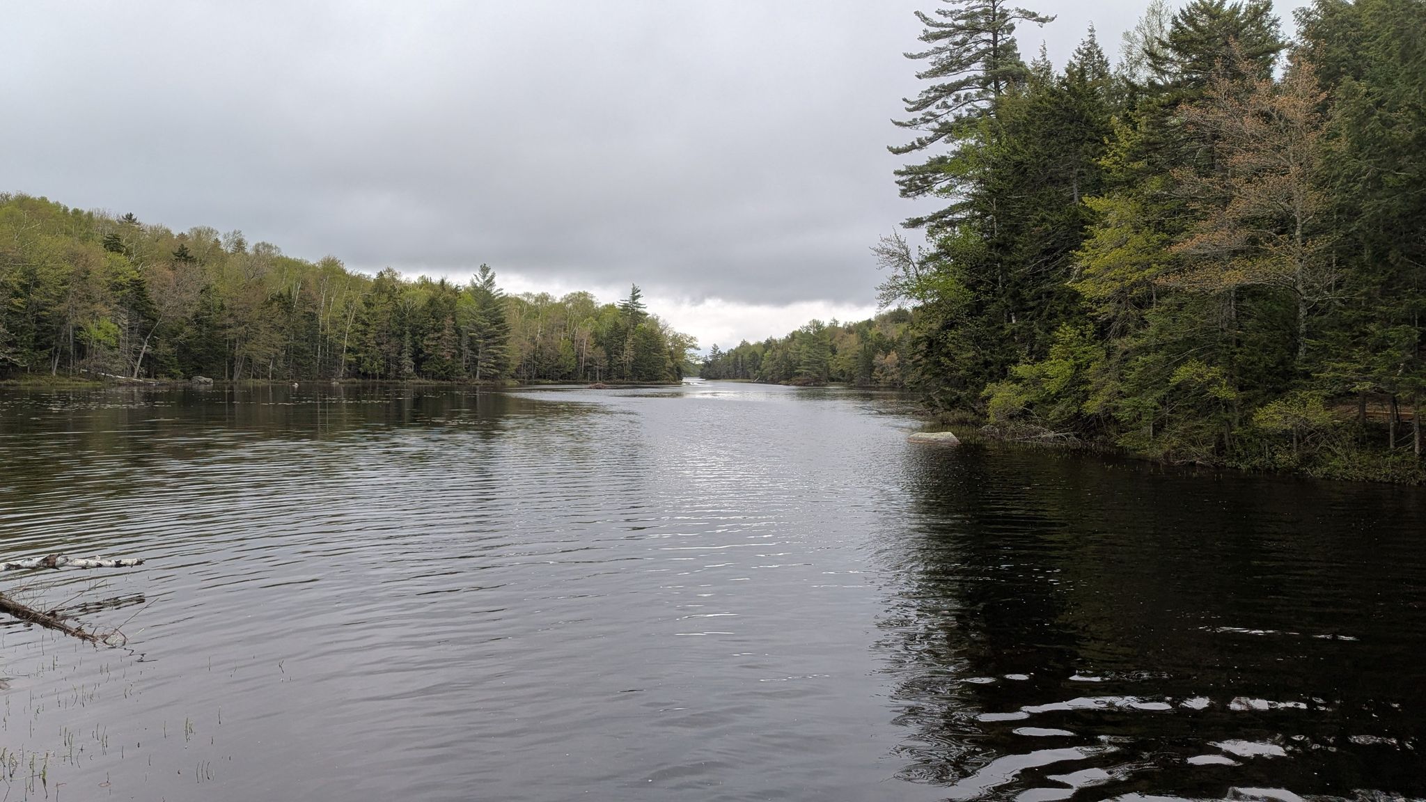 A calm river flows through dense green forests under an overcast sky. - Cascade Pond and Northville-Placid Trail Loop