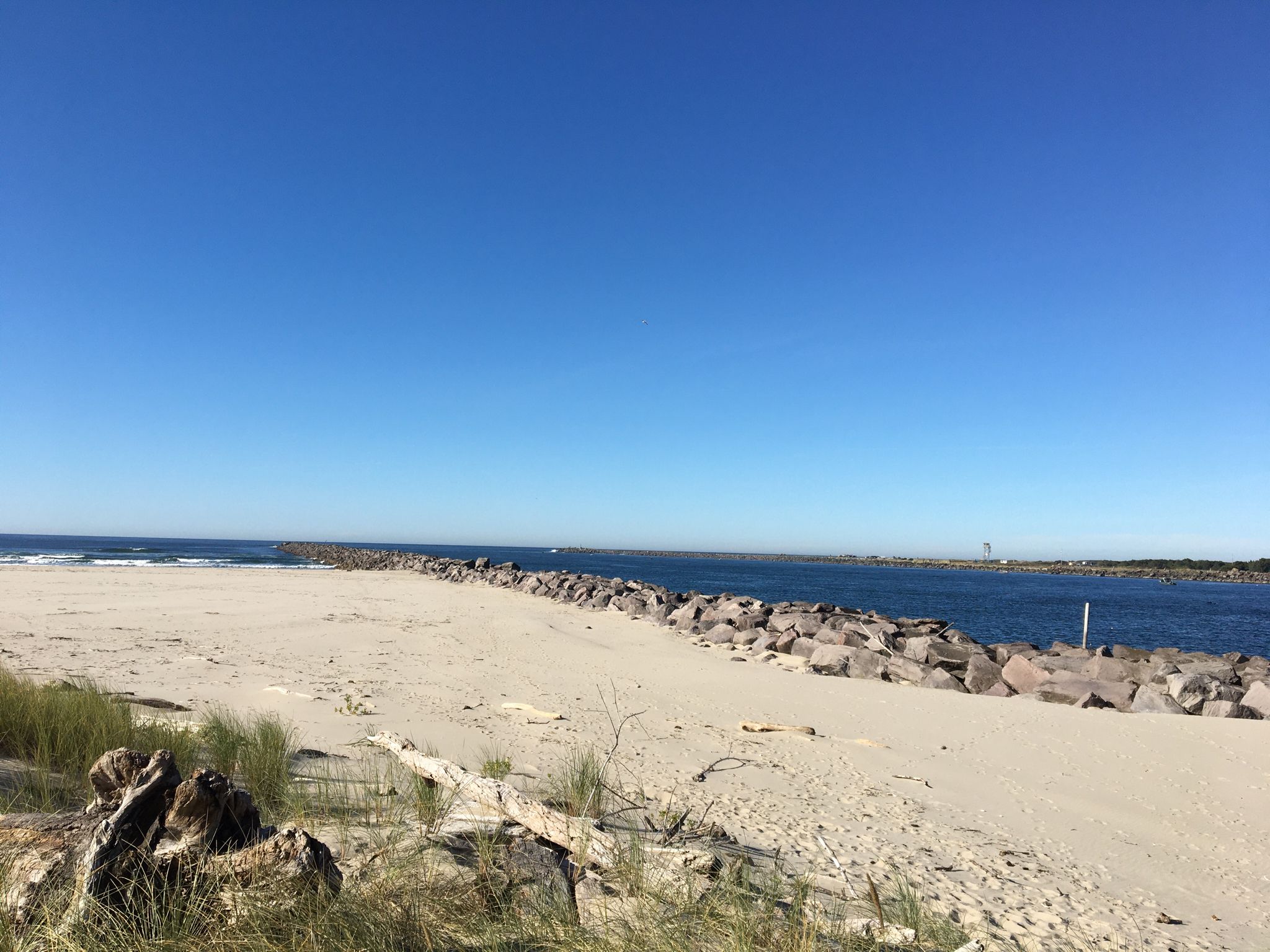 Sandy beach, rock jetty, blue ocean, and clear sky on a sunny day. - Bayocean Peninsula