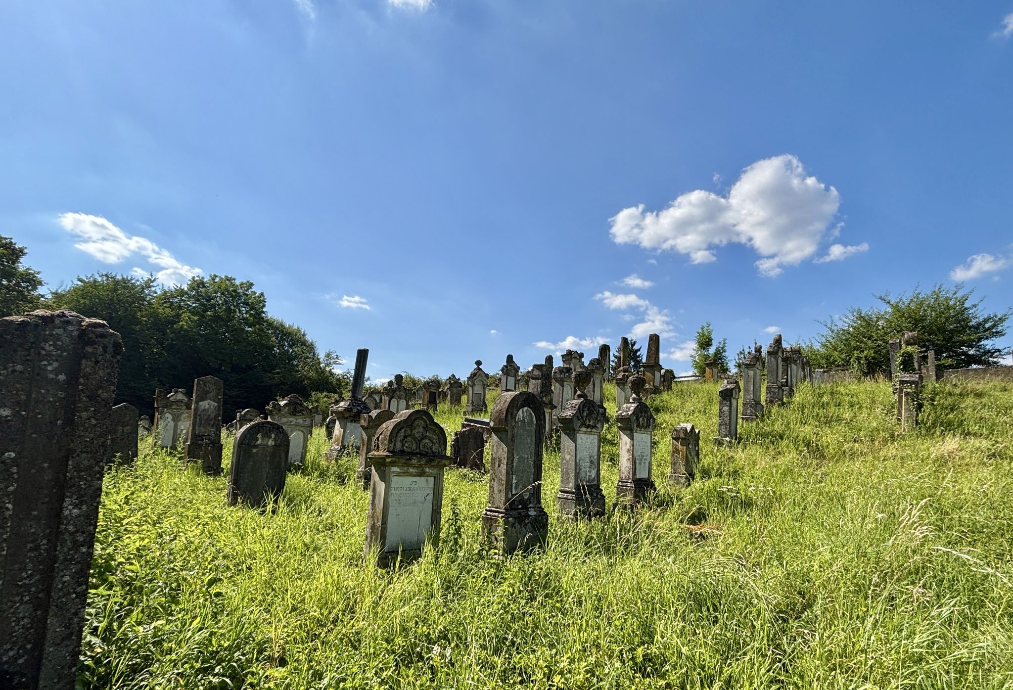 Ancien cimetière israélite en arrivant sur Fénétrange