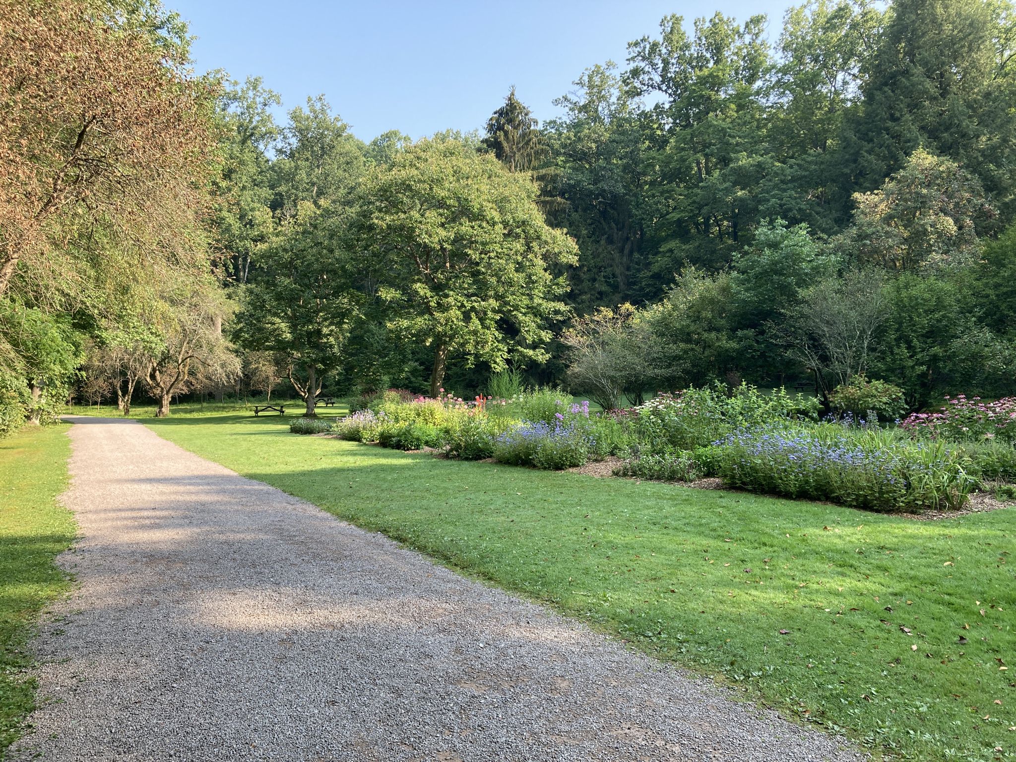 Gravel path through a sunny green park with flower beds and trees. - Black Loop Trail