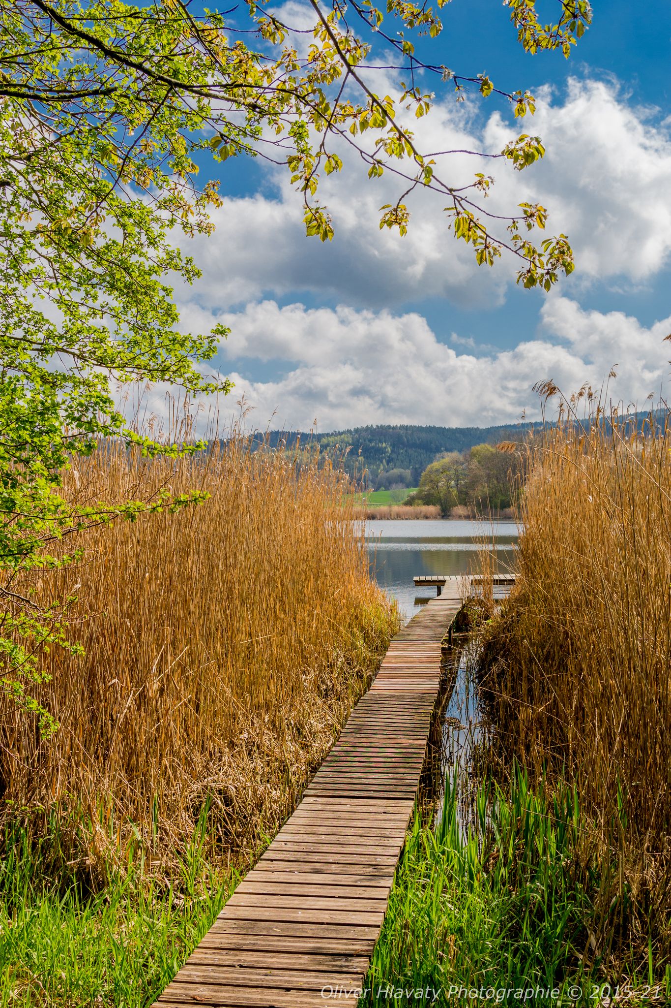© 2015-21 | Oliver Hlavaty Photographie