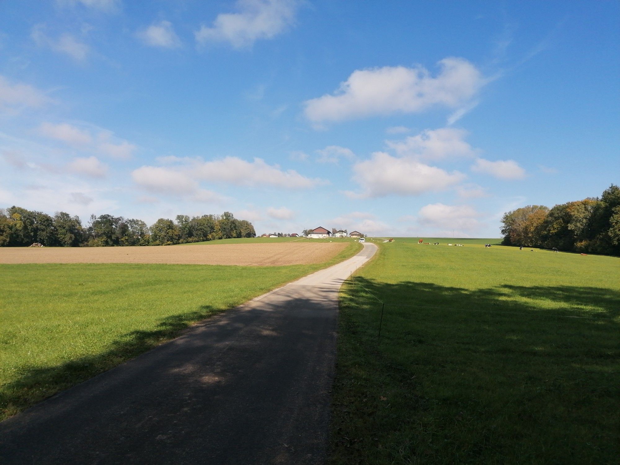 Ischlerbahn23