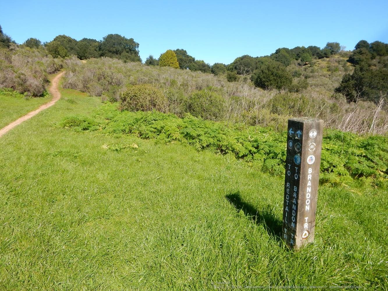 Sunny grassy path with a wooden trail marker and green hills. - Redtail and Brandon Trail Loop