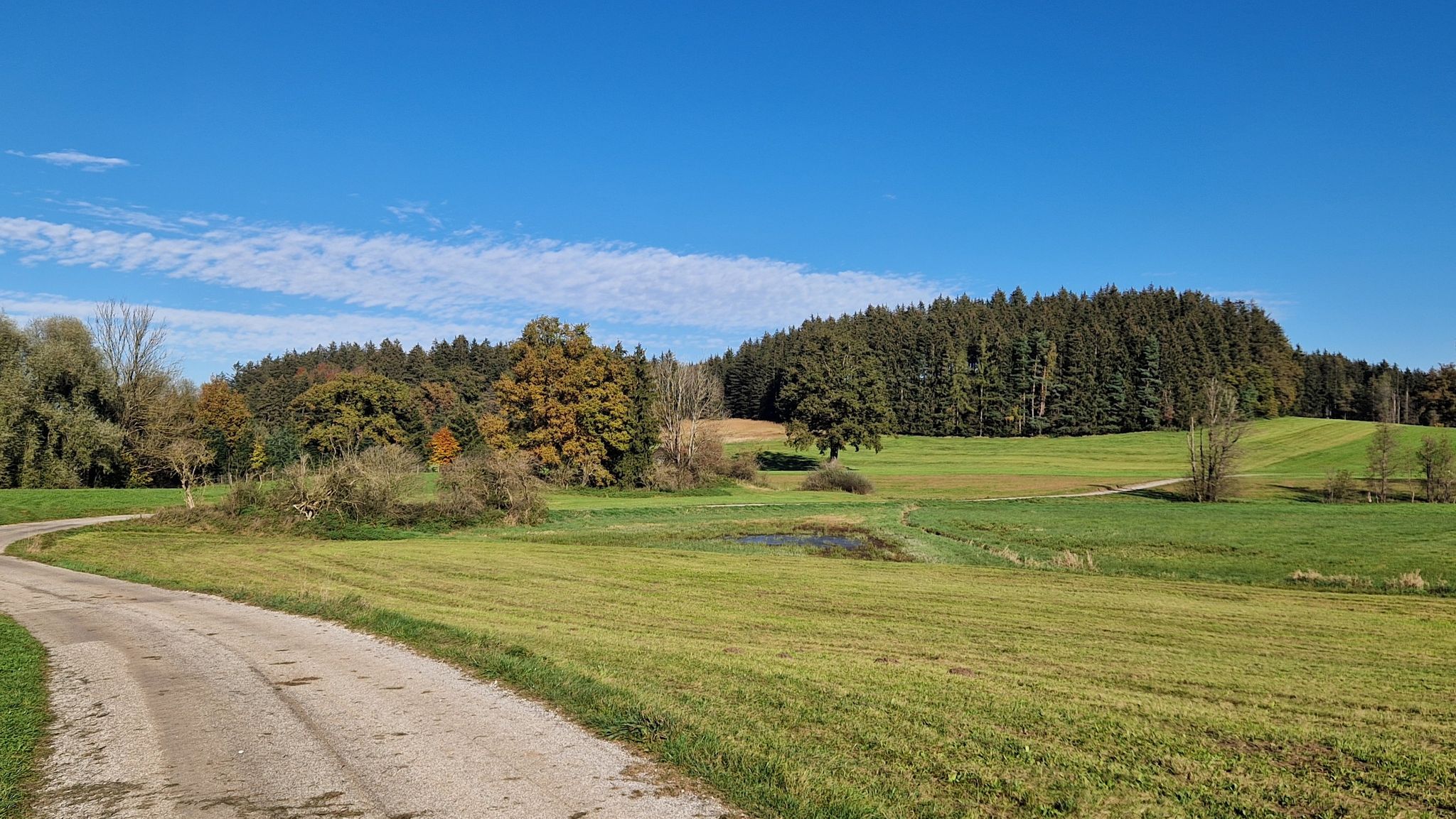 Dümpfelfeld