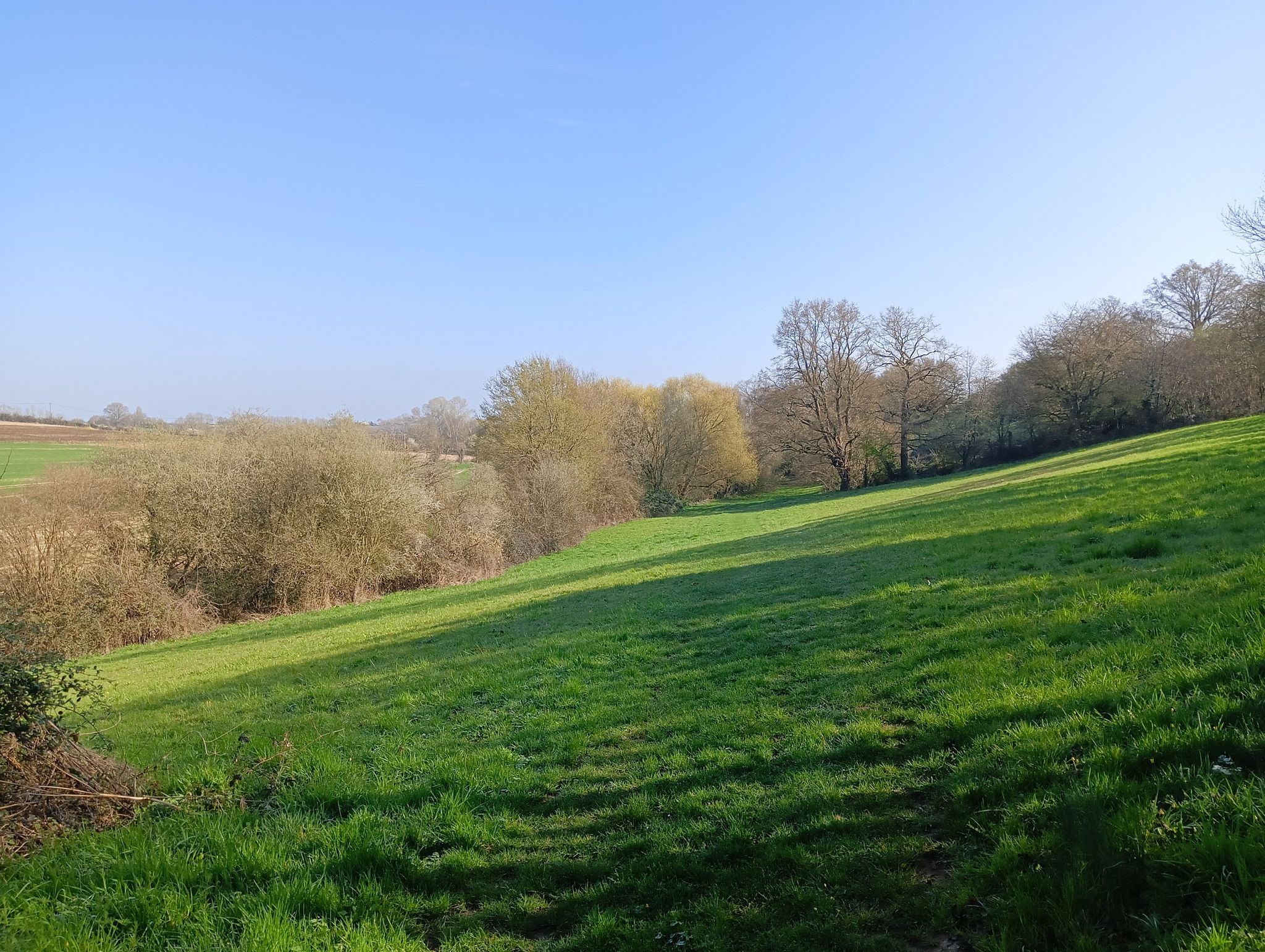campagne marollaise 3