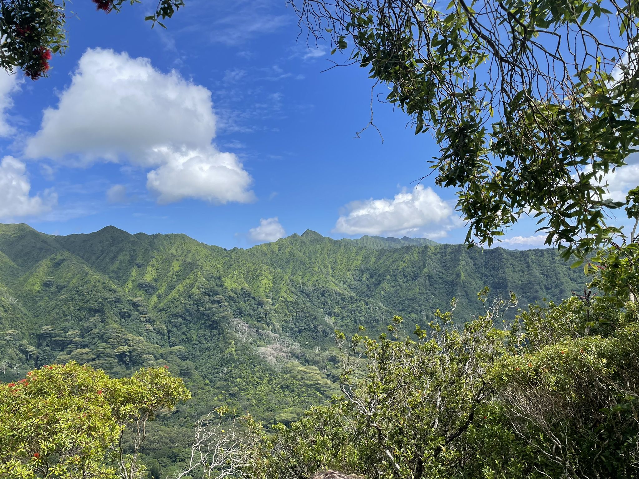 Panoramic view of verdant mountains under a bright blue sky with clouds. - Kalāwahine Trail to Manoa Cliff Trail loop