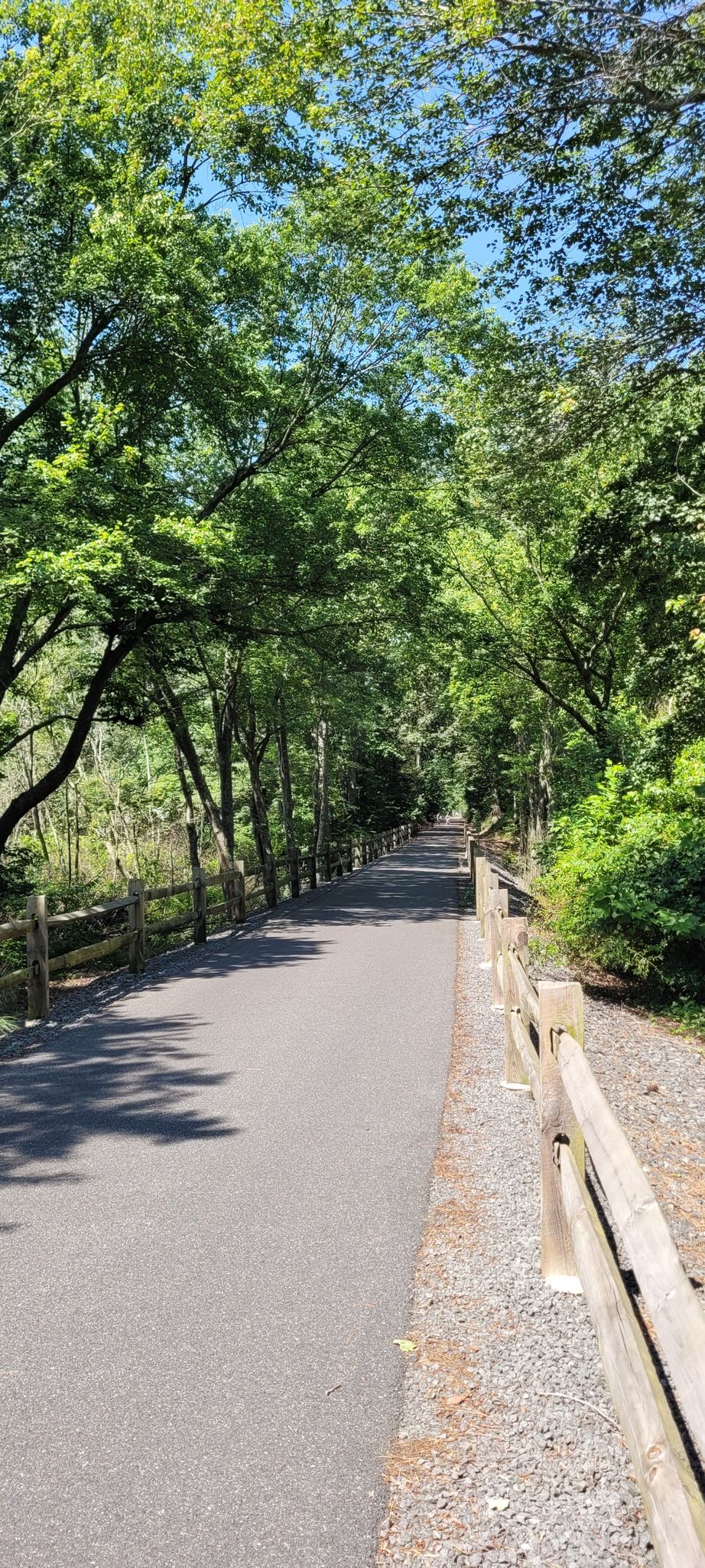 A paved path with wooden fences on both sides, shaded by tall green trees. - Georgetown/Lewes Trail