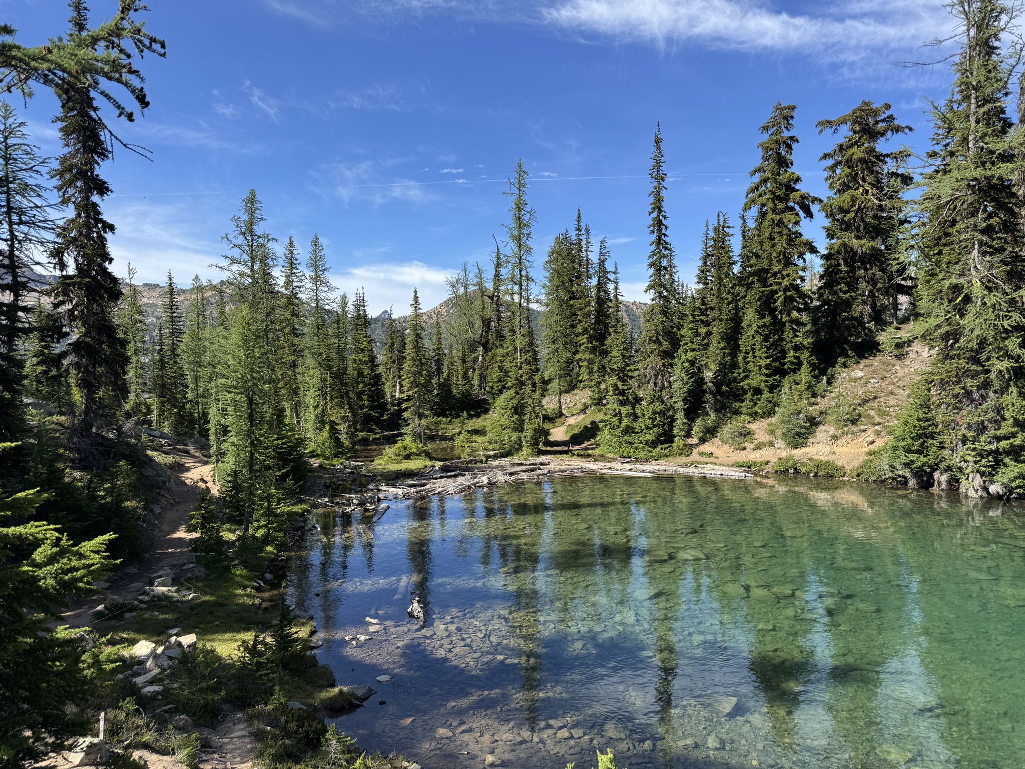 Serene, clear mountain lake reflecting tall pine trees under a bright blue sky. - Blue Lake Trail