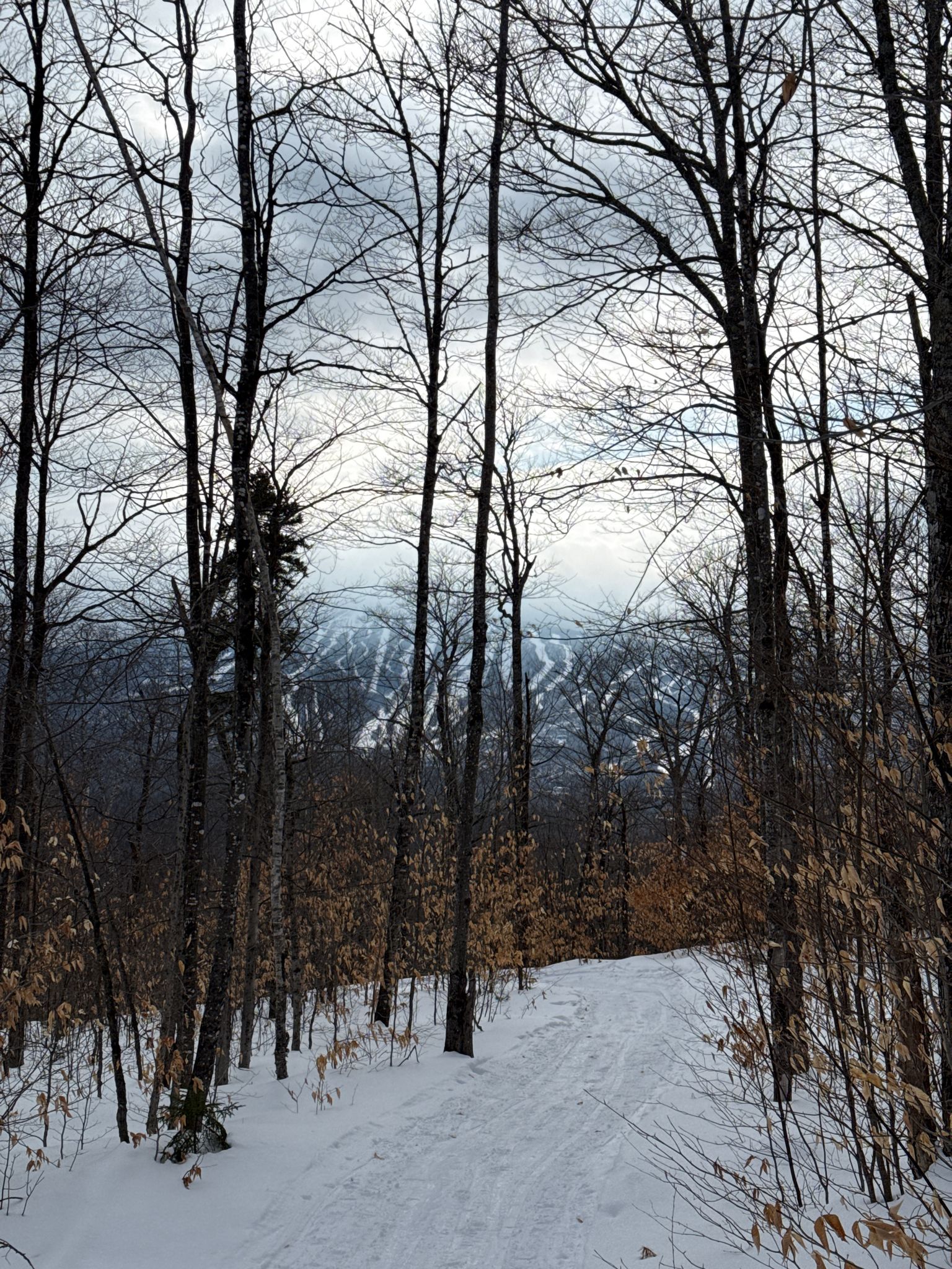 More views of Sugarloaf on the descent.
