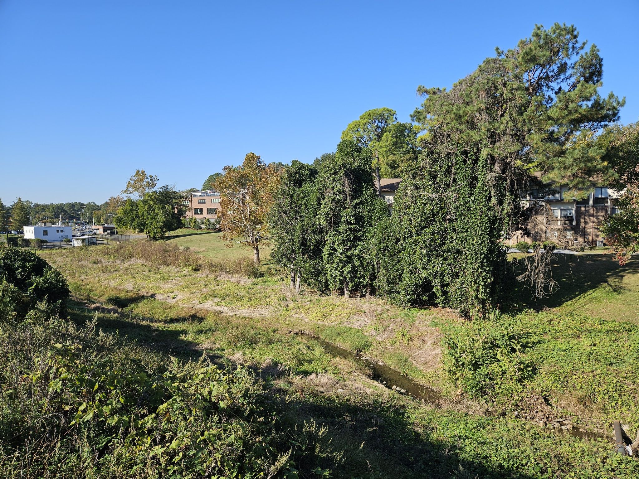 Grassy field with stream, surrounded by trees and distant buildings on a clear day. - American Tobacco Trail