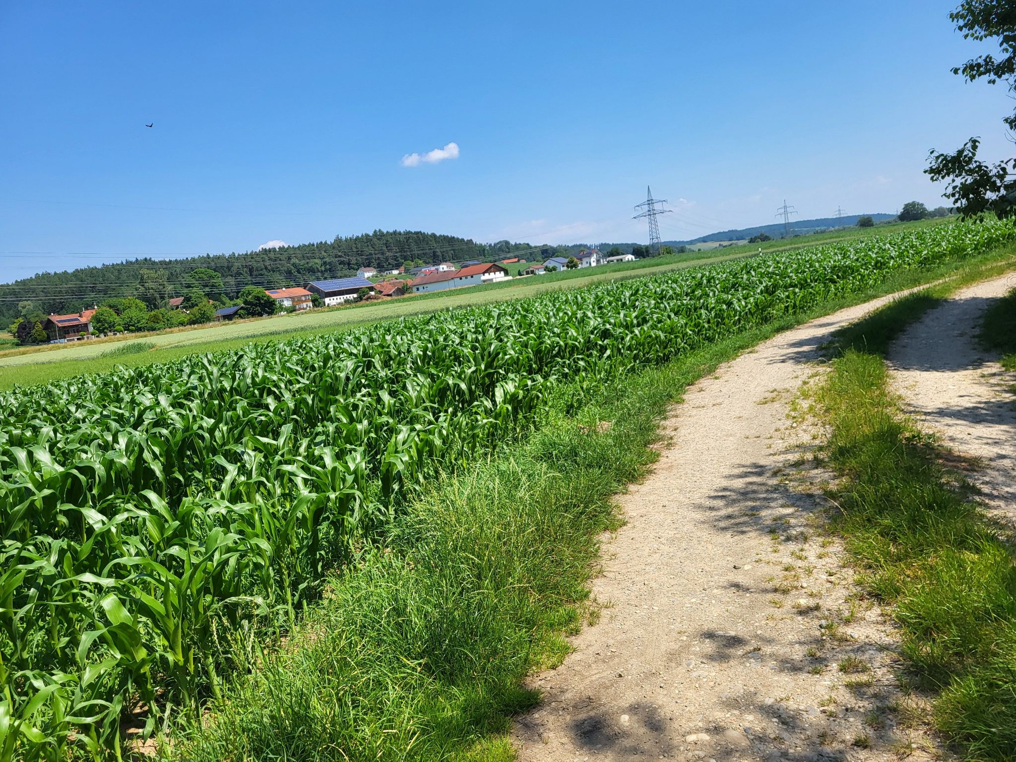 Dellendorf