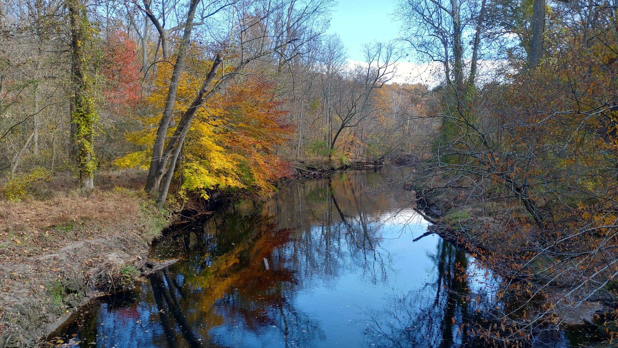 A river reflects colorful autumn trees under a bright blue sky. - Western Ridge and Valley Trail Loop