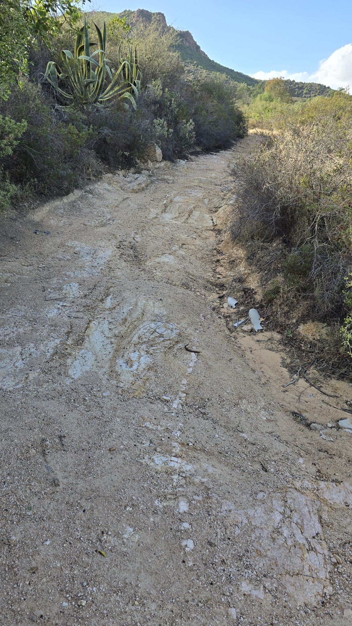 Eingang zum Aufstieg?