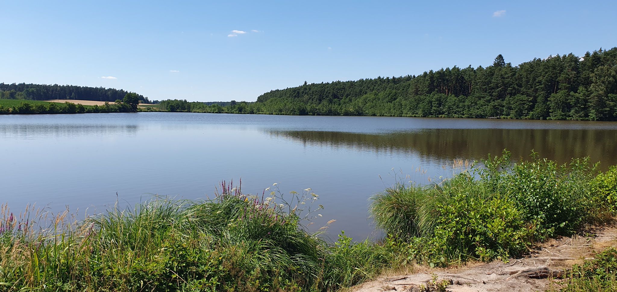 Hammerschmieder See
