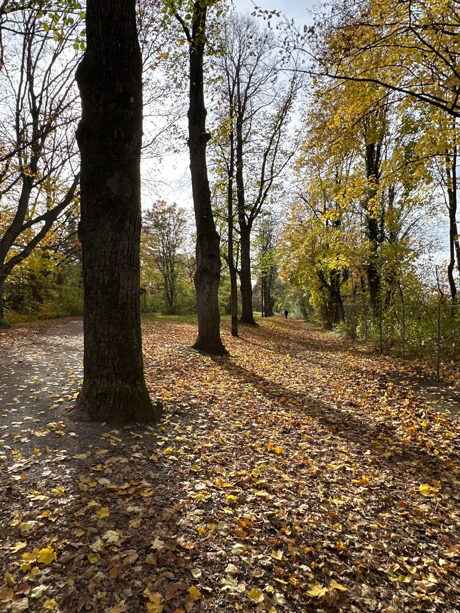 schöne Herbstfarben