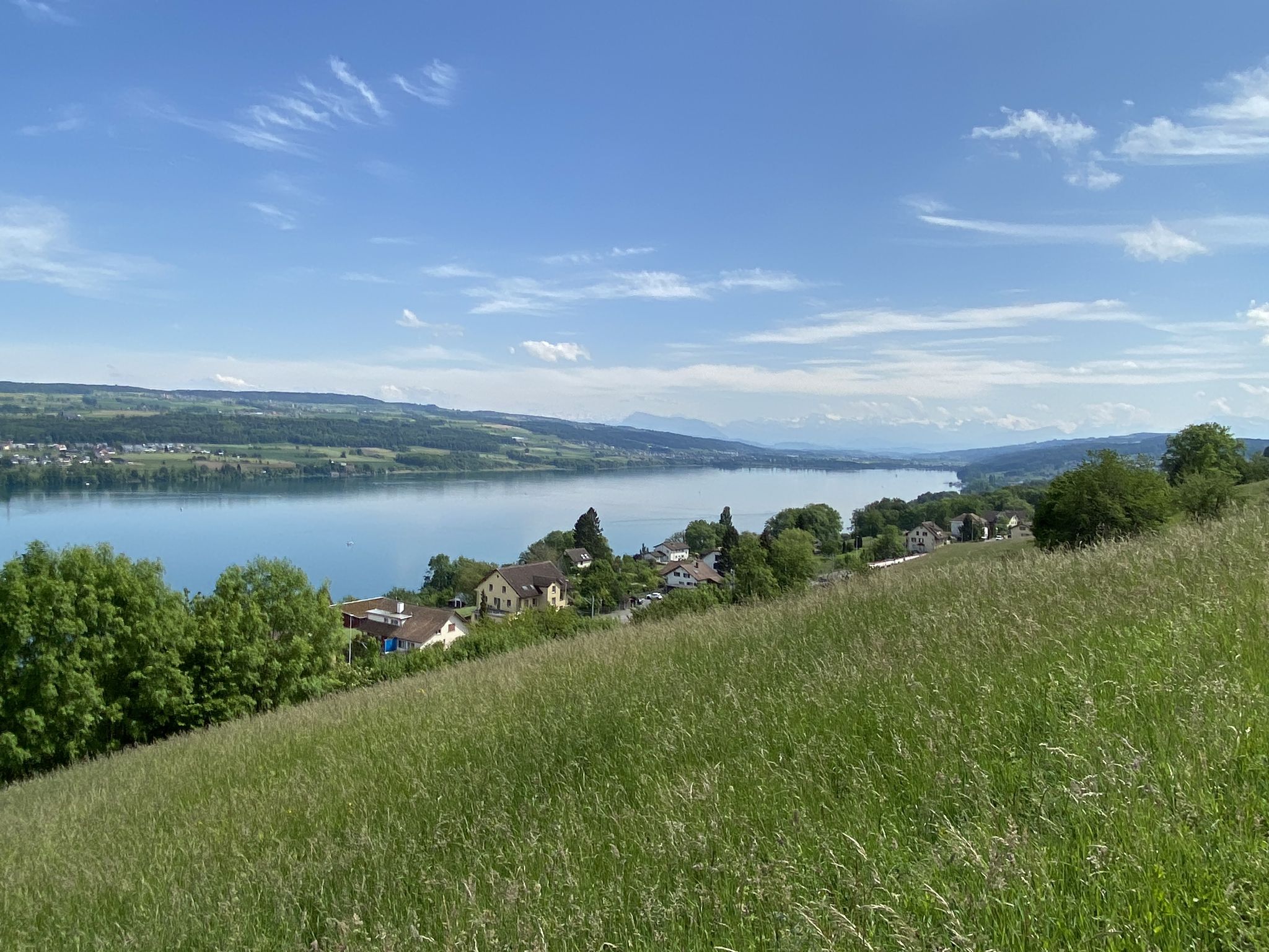 Blick über den Hallwilersee