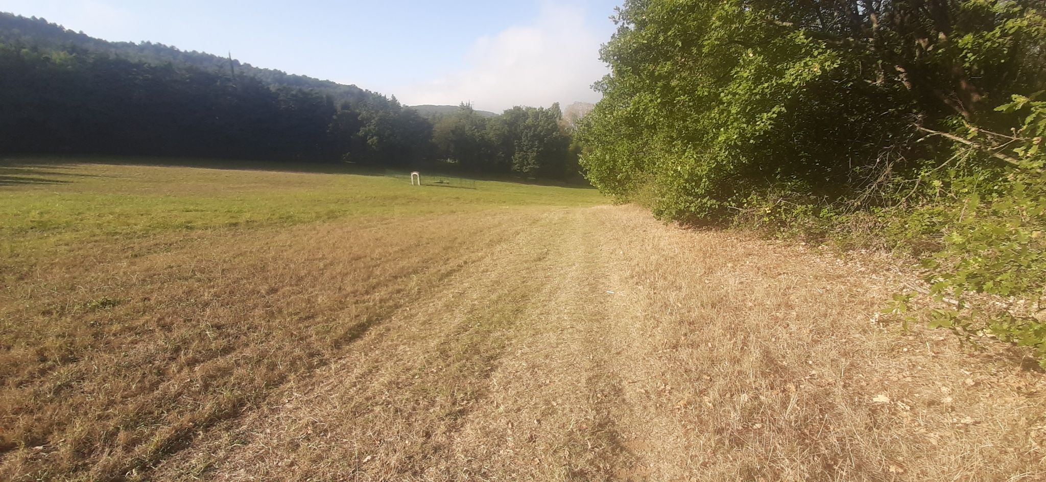 contourner le champ