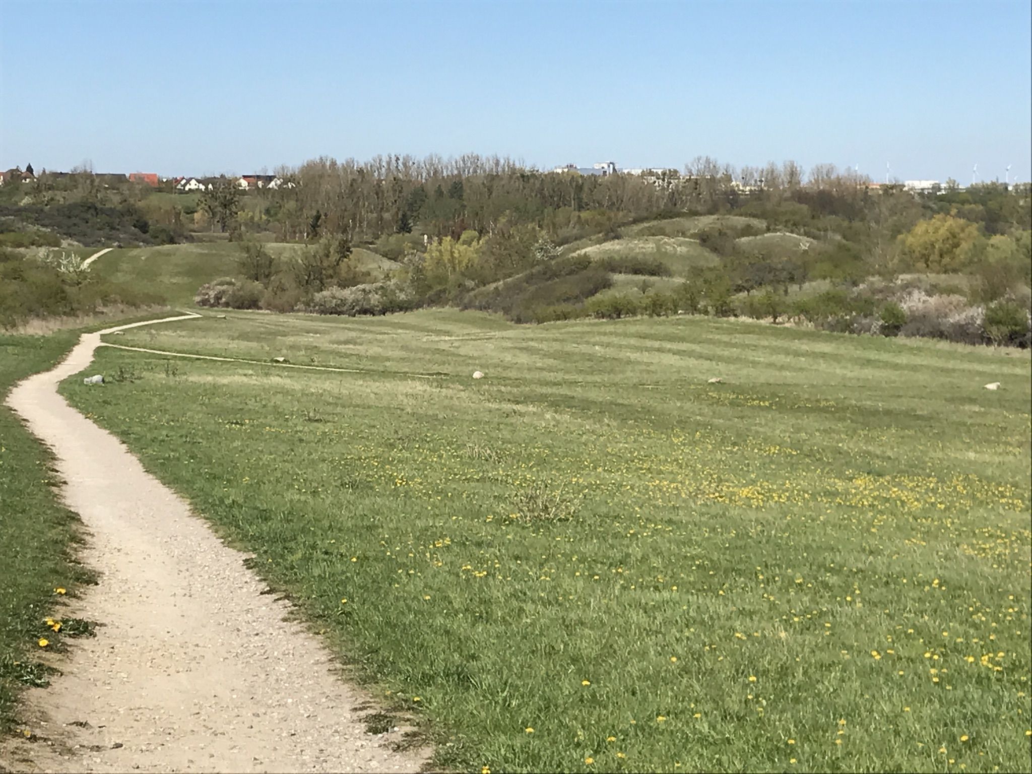 Brodaer Landschaftsgarten 