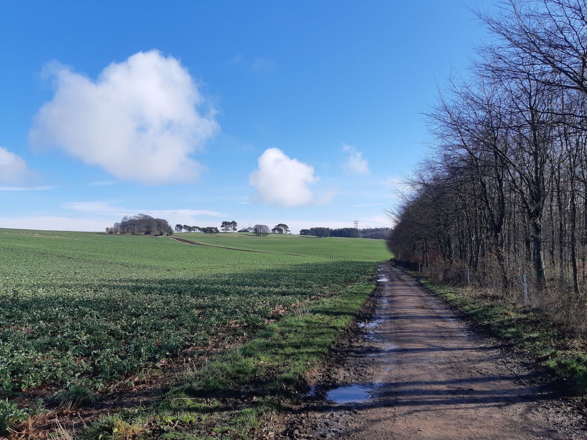 Bridleway track back to Elmley Castle