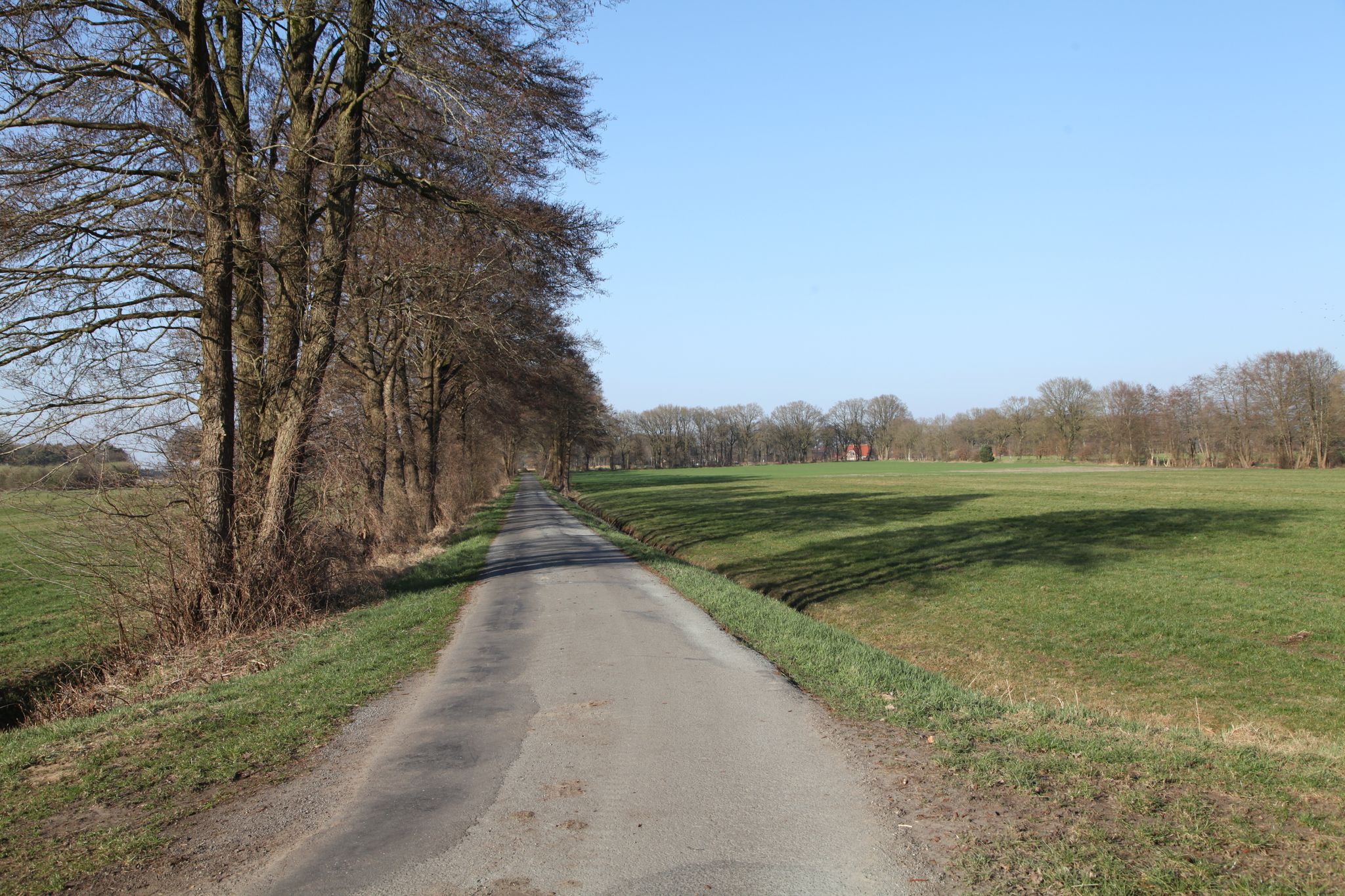 grüne Felder, langer Feldweg