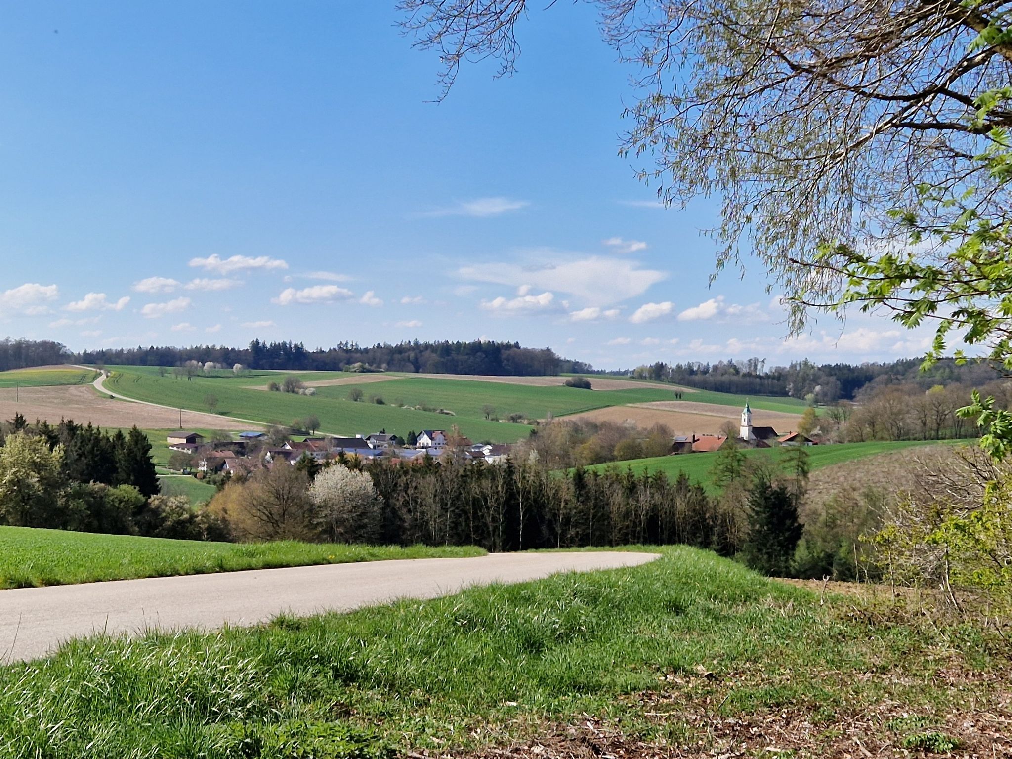 köllnbo