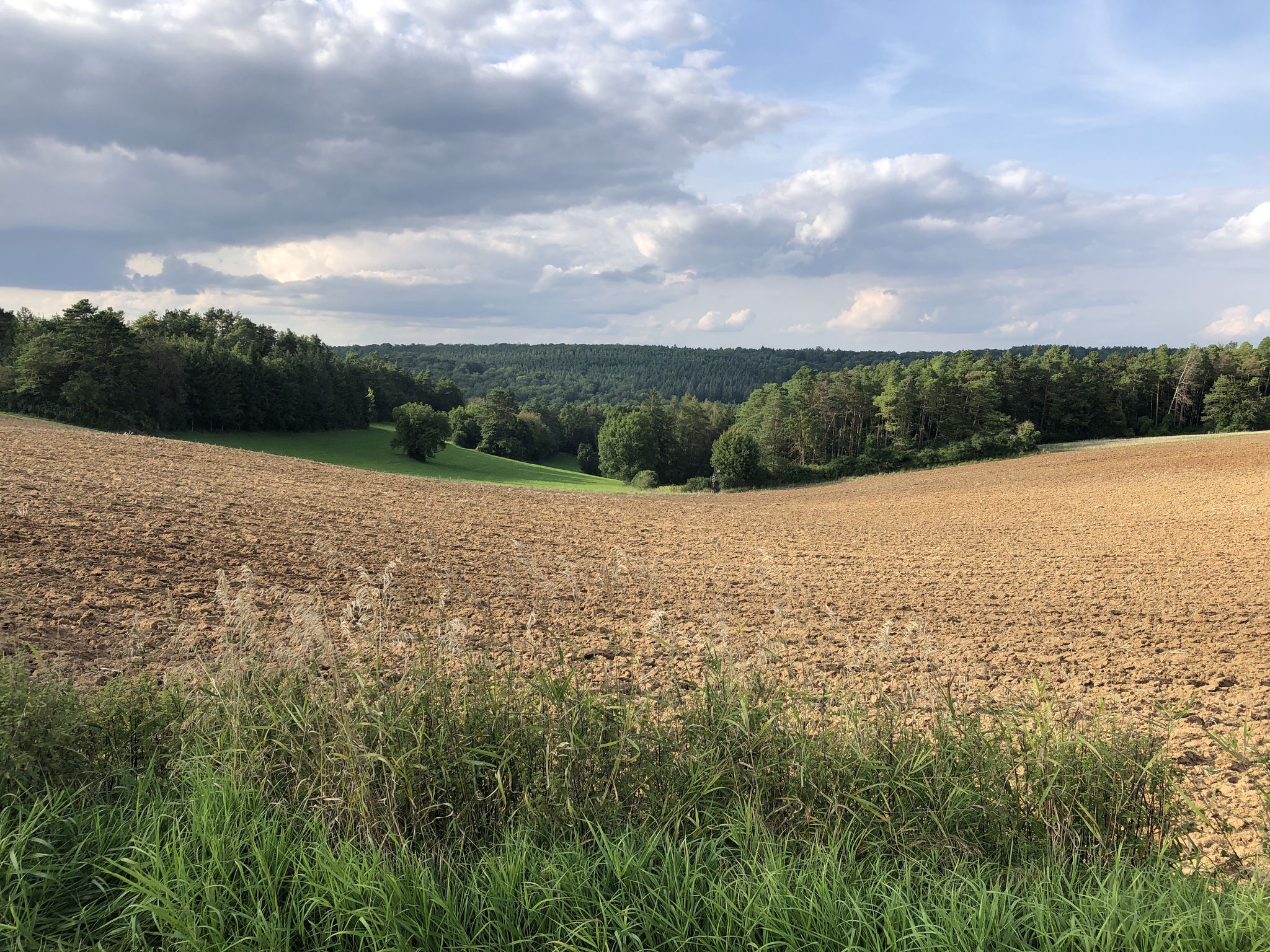 Einsames Tal Richtung Beilbergsgraben