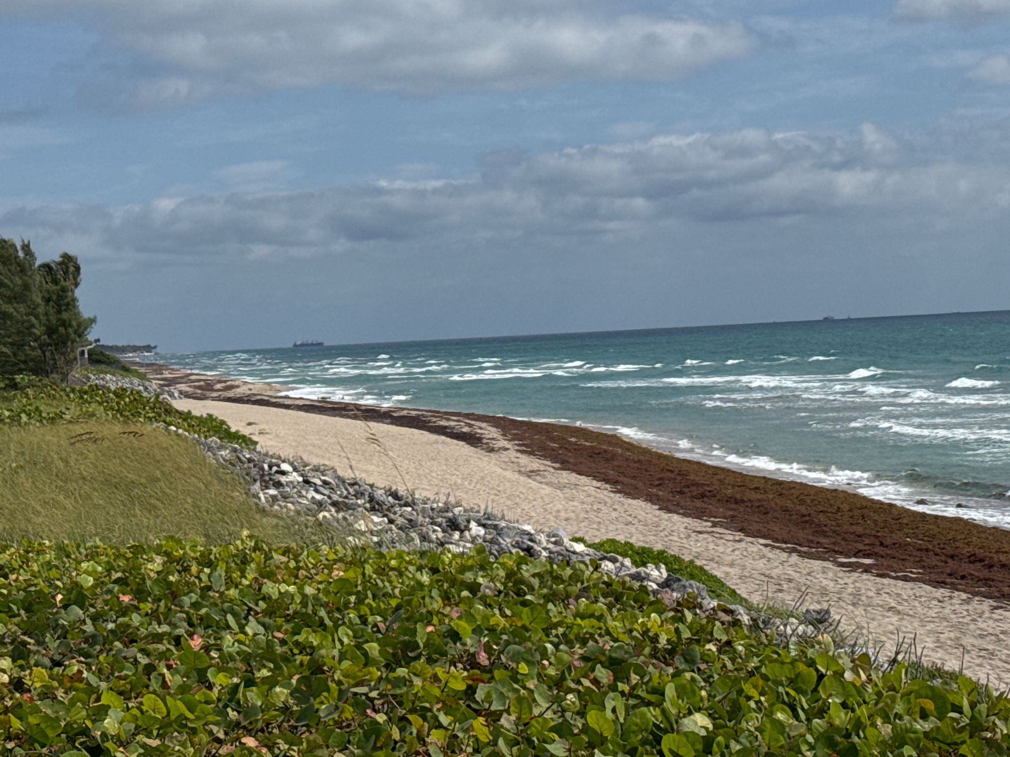Coastal landscape with green vegetation, sandy beach, and ocean waves. - East Coast Greenway: Palm Beach Loop