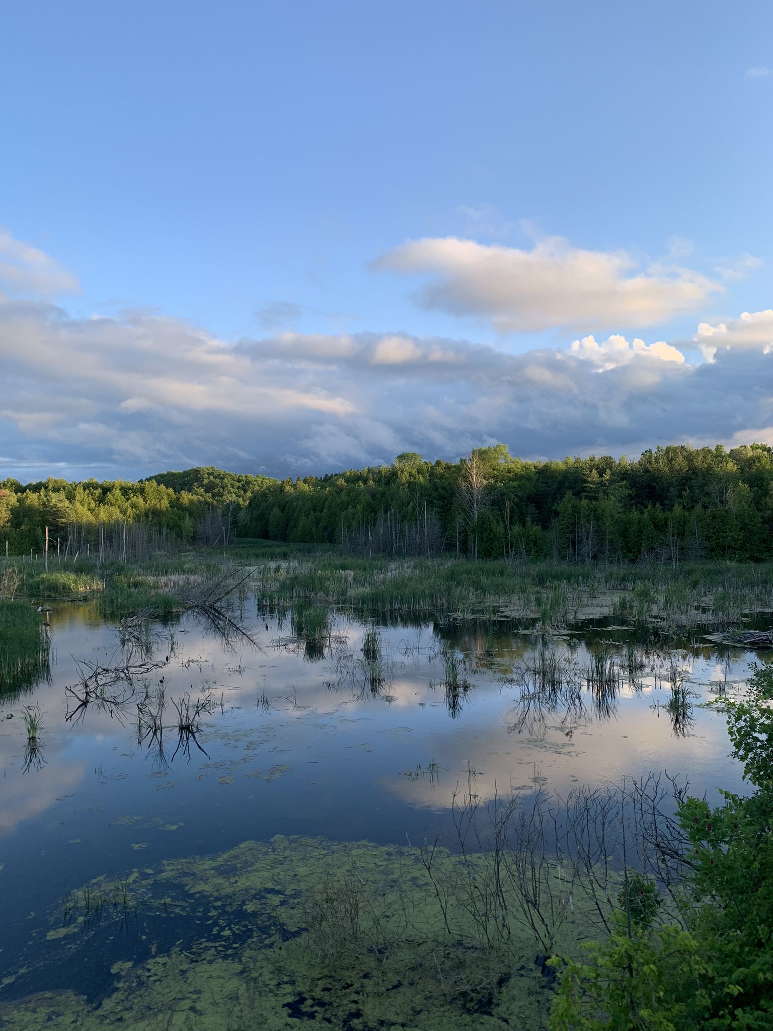 Beautiful views from the trail side.