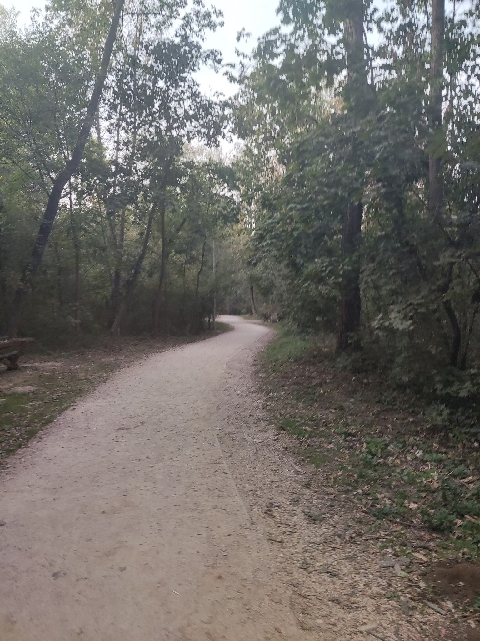 typical route