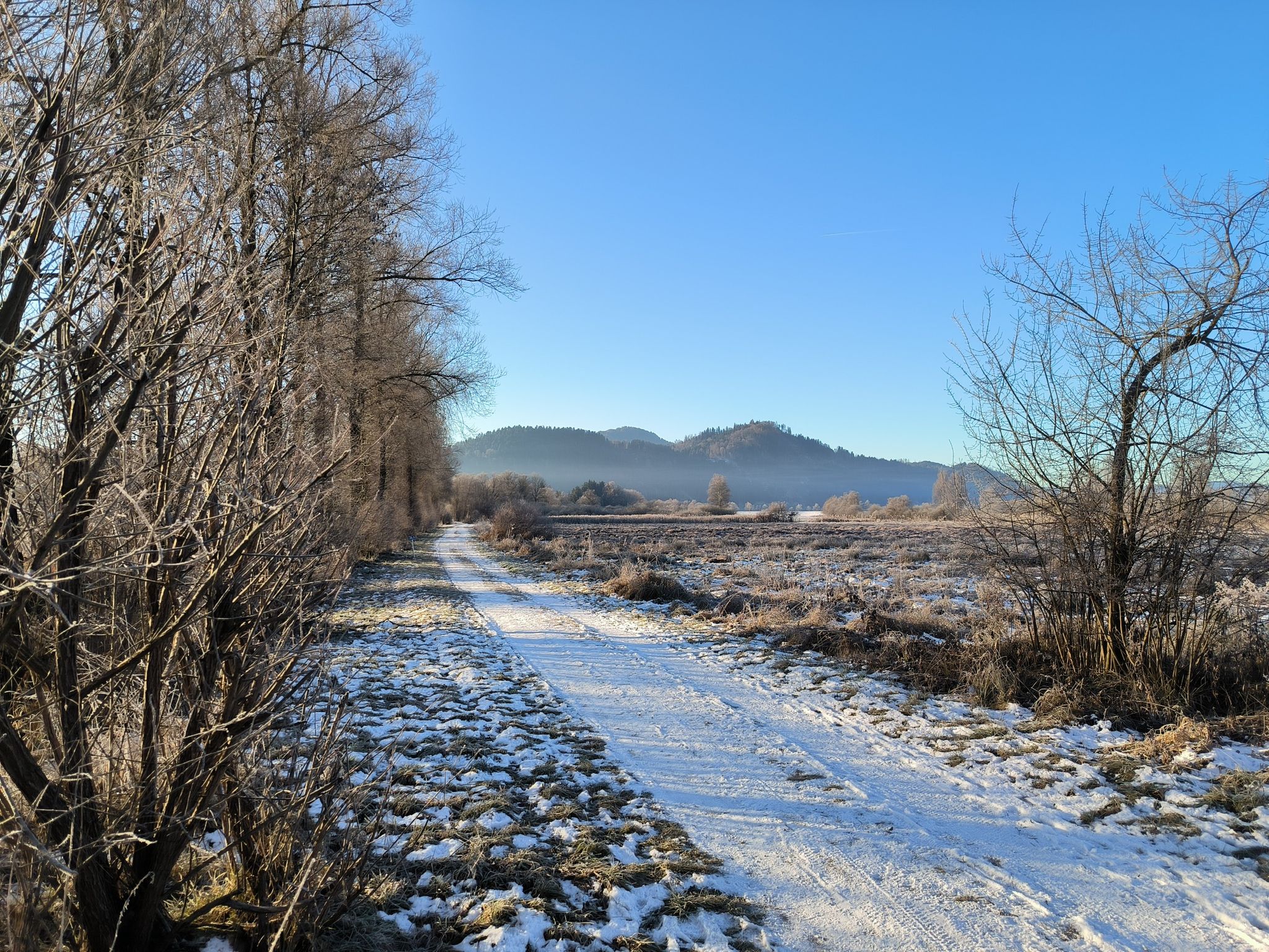 Blickrichtung Karlsberg