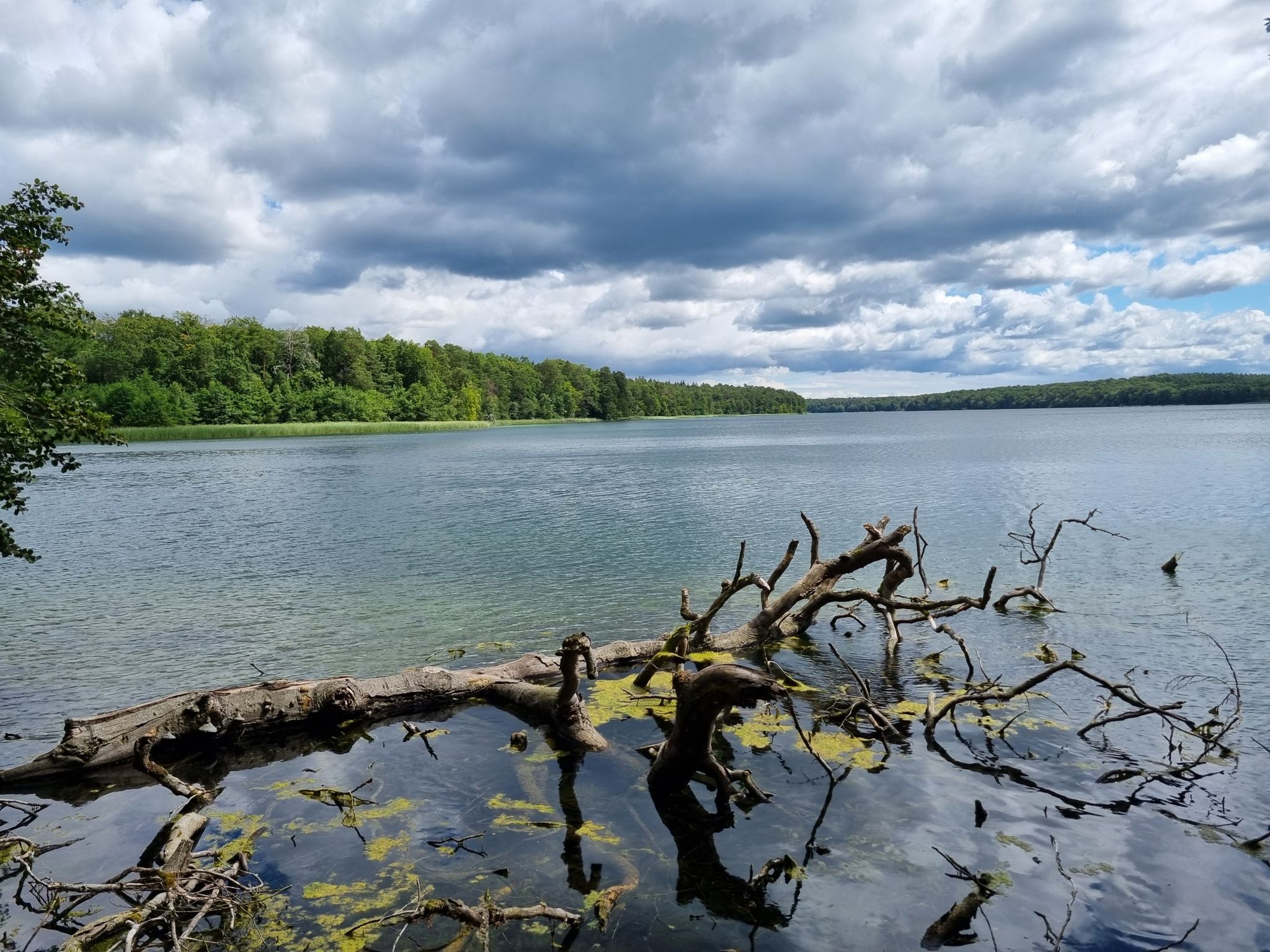 Großer Stechlinsee