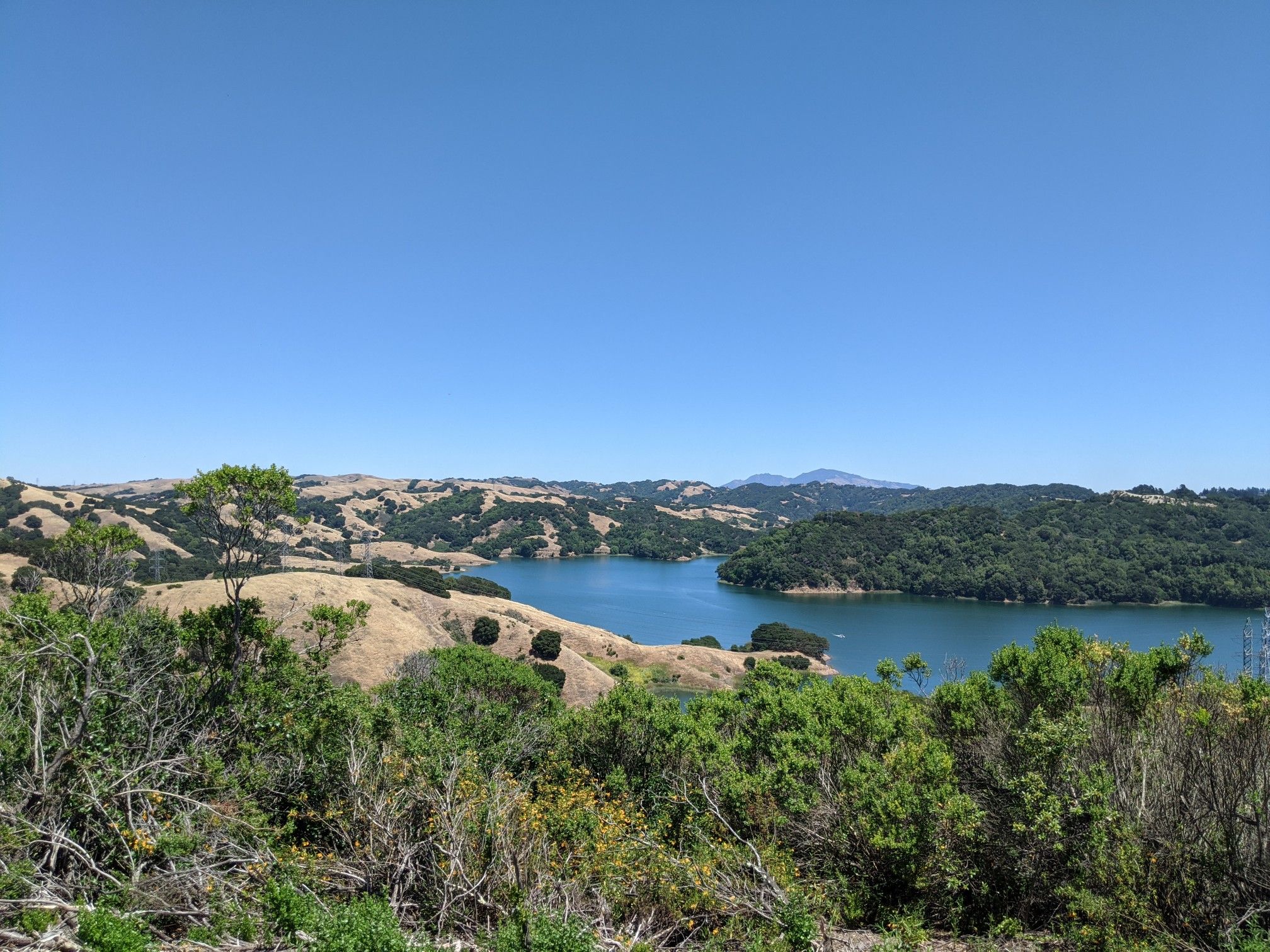 A clear blue lake surrounded by green and golden rolling hills under a bright sky. - Briones Reservoir loop via Bear Creek Trail —Briones Regional Park
